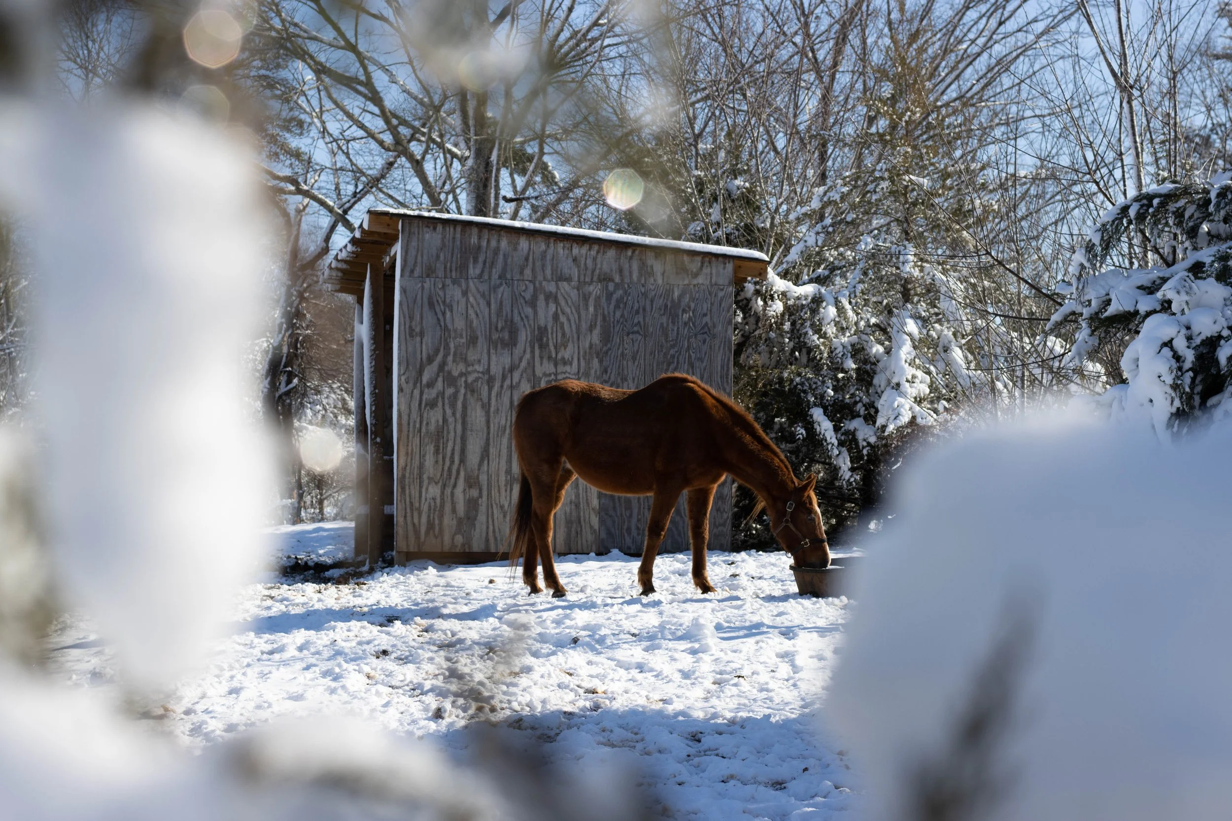 Through the Looking Glace