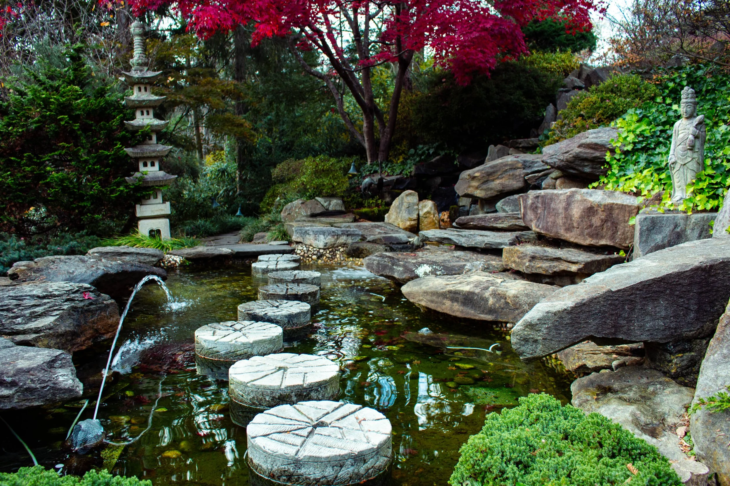 Japanese Gardens @ Hillwood