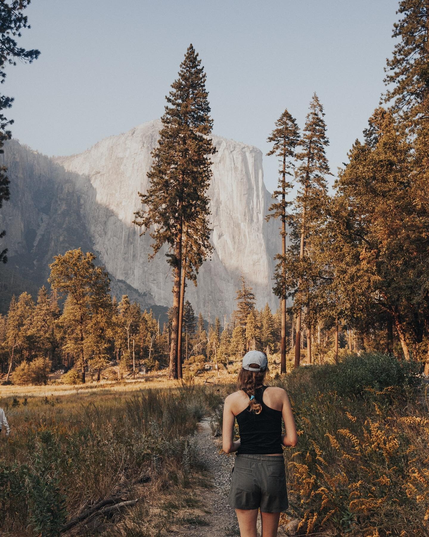 Another amazing view of El Capitan. Thanks again @rebeccakeihnphotography @beccakeihn  #elcapitan #yosemite #yosemitenationalpark #nationalpark #yosemite_national_park #yosemitephotography