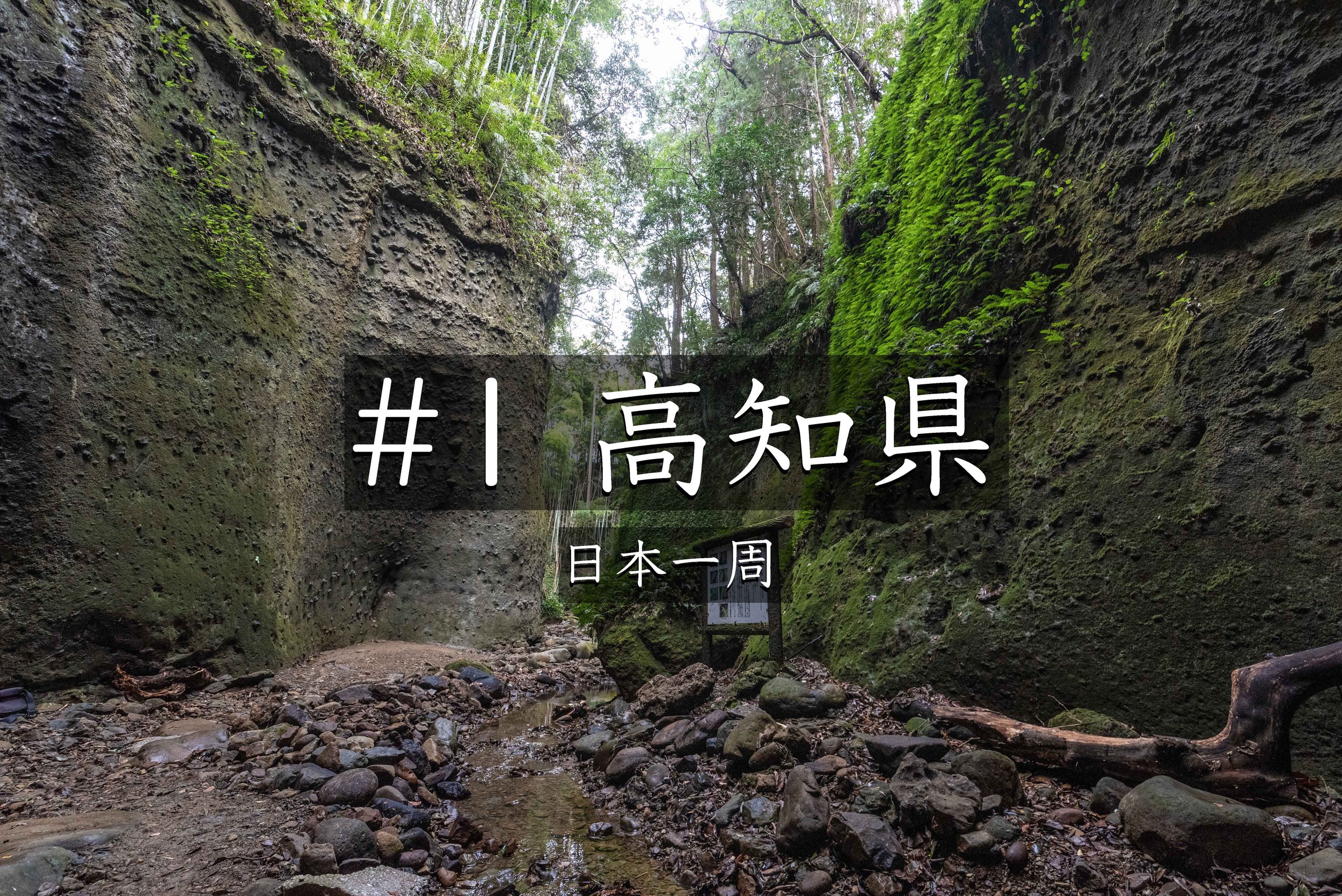 #37【高知】 高知県の秘境を巡る旅｜龍河洞と伊尾木洞で出会った幻想的な景色（日本一周）