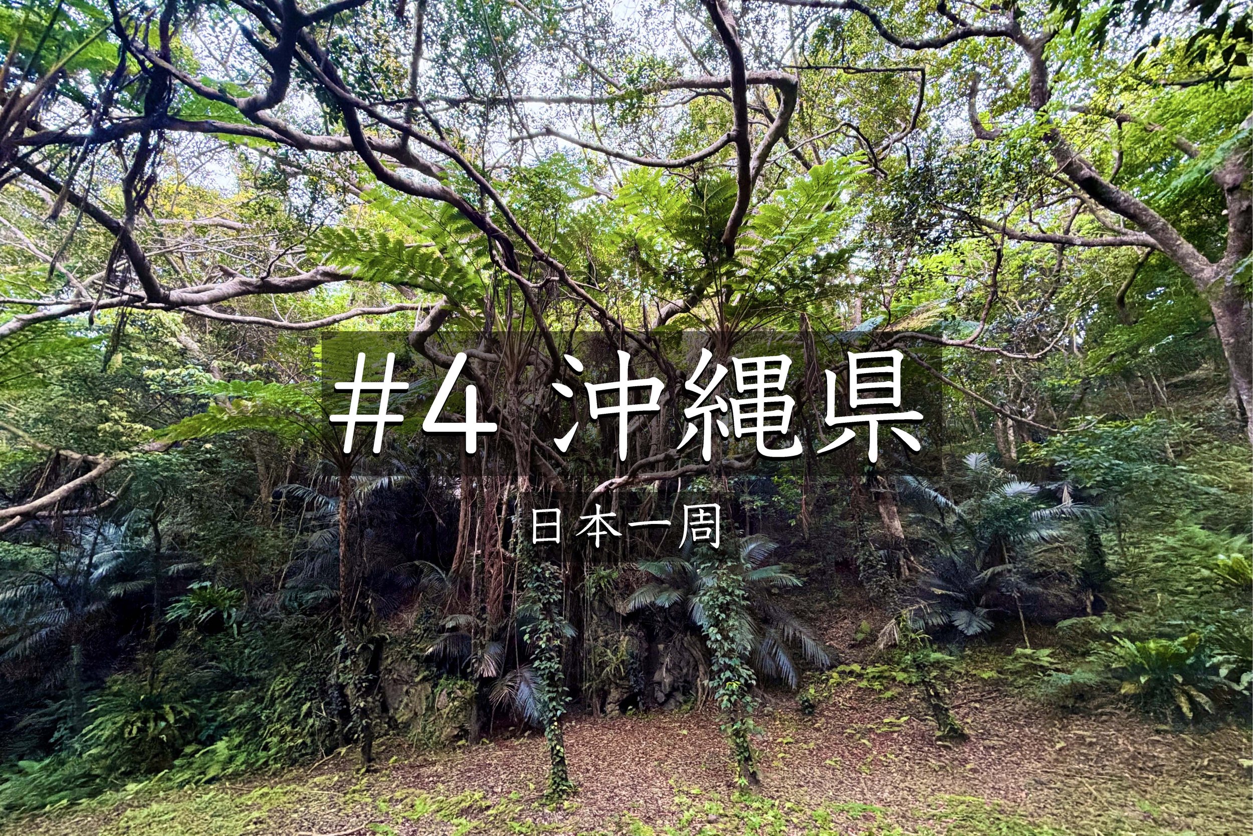 #58【沖縄】 OKINAWAフリーダムに宿泊！巨大なガジュマルに出会った癒やしの一日【日本一周】