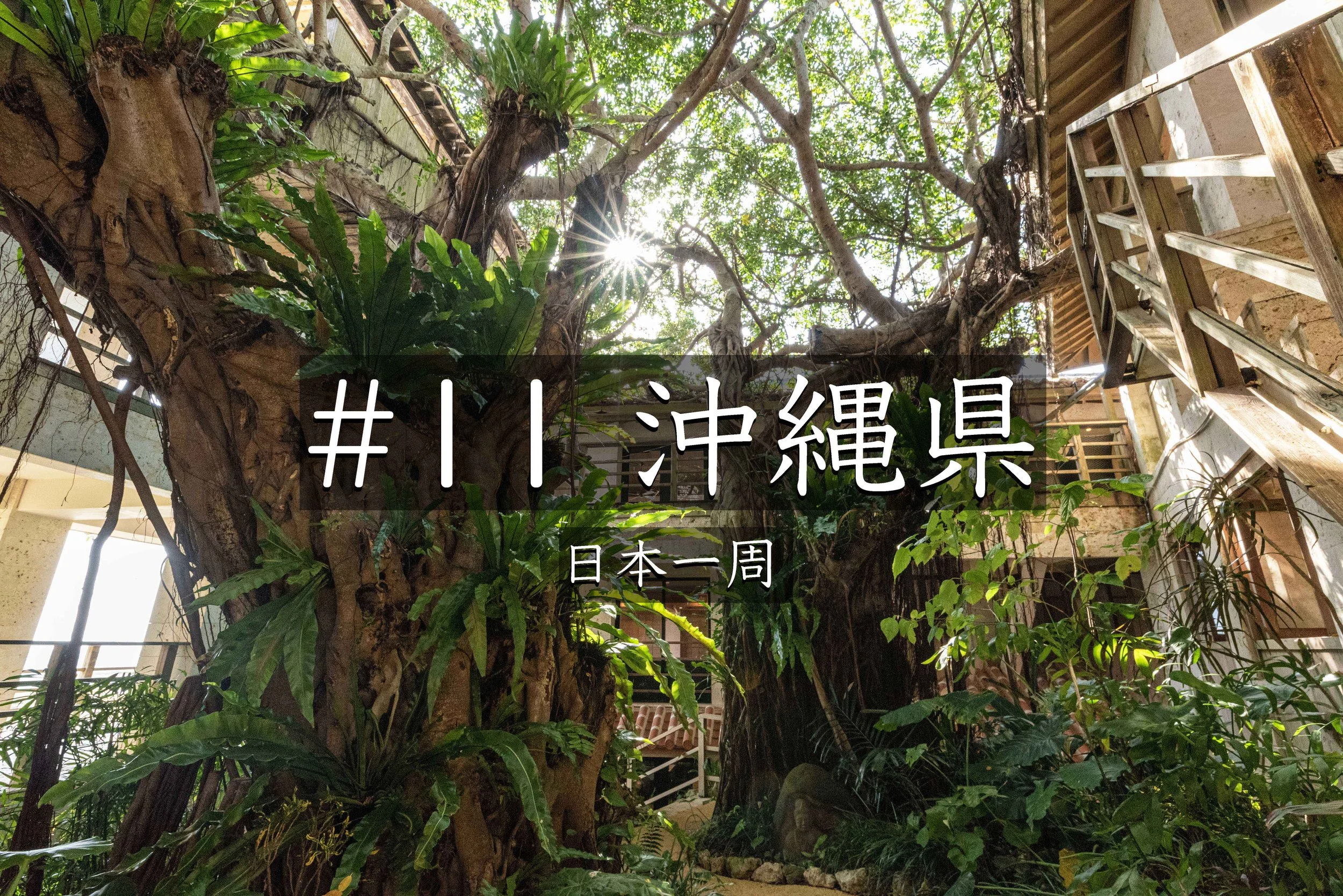 #65【沖縄】 沖縄の高級ホテル「百名伽藍」に宿泊！客室・夕日・食事を写真付きで紹介【日本一周】