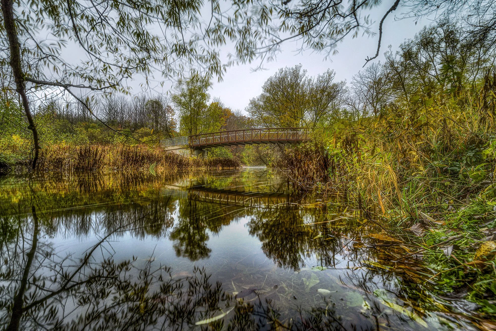 ロンドン　カナダ　オンタリオ州　川　木　反射　london canada ontario  river tree Medway Creek pathway reflection
