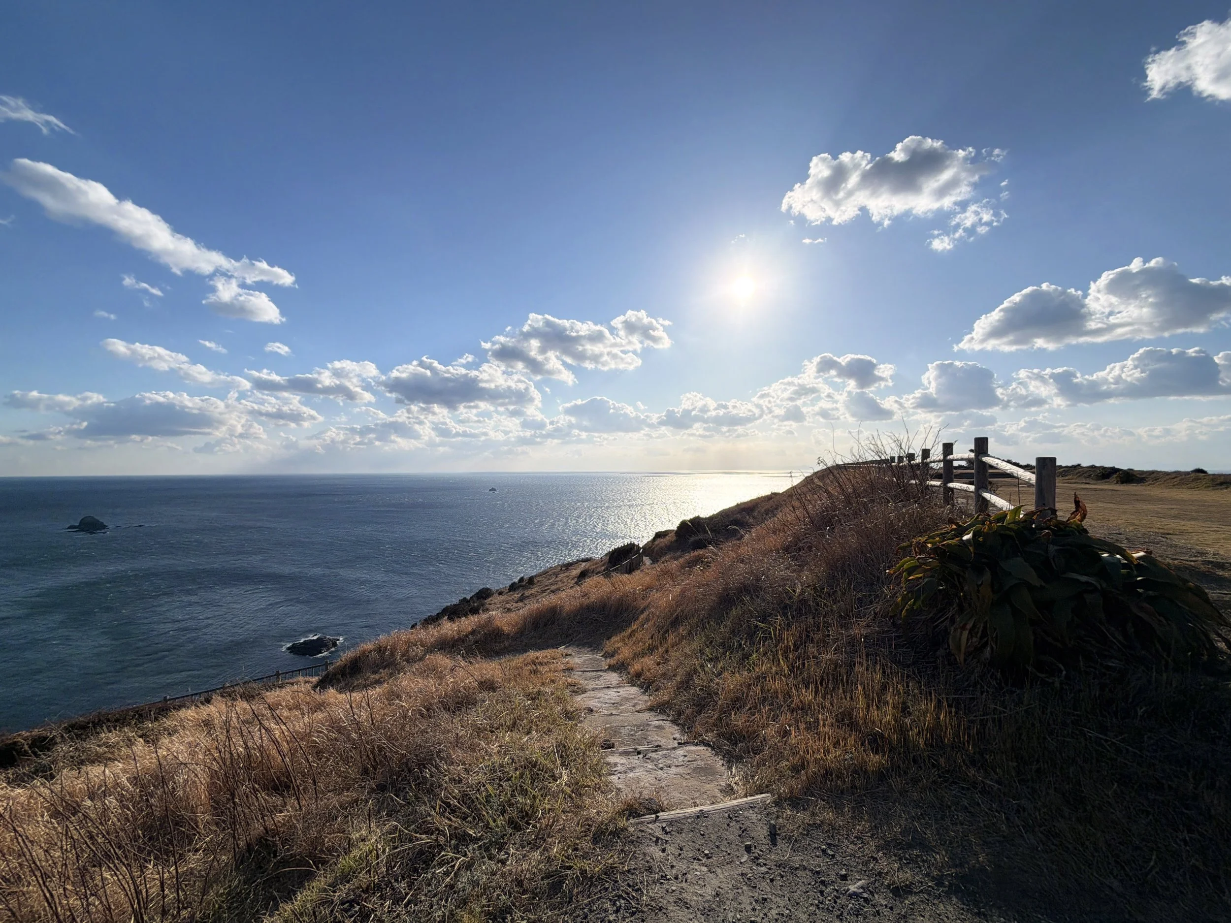青い海を見下ろす岬の遊歩道を写した風景です。手前から奥へ、細い石造りの道が枯れ草に覆われた斜面を下っています。左側には広大な海が広がり、海面には太陽の光が反射して白く輝いています。右側には木製の柵と開けた道があり、青空には白い雲が浮かんでいます。海と空、黄金色の草原が調和した、開放感のある穏やかな景色です。