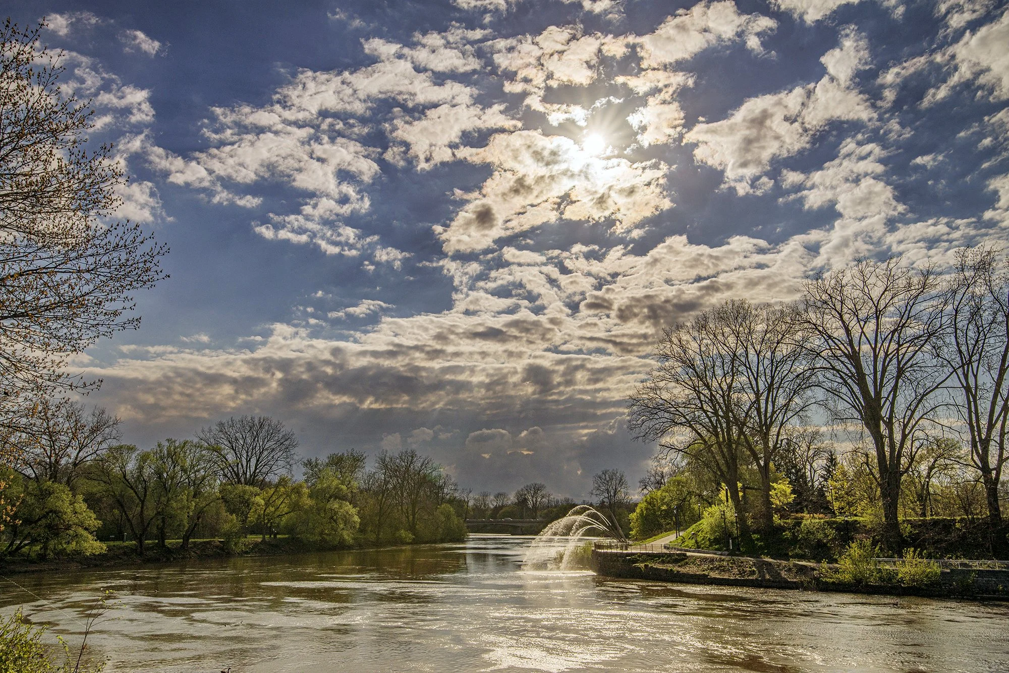 ロンドン　カナダ　オンタリオ州　アイヴィー・パーク　川　木　london canada ontario Ivey Park river tree Forks of the Thames River 