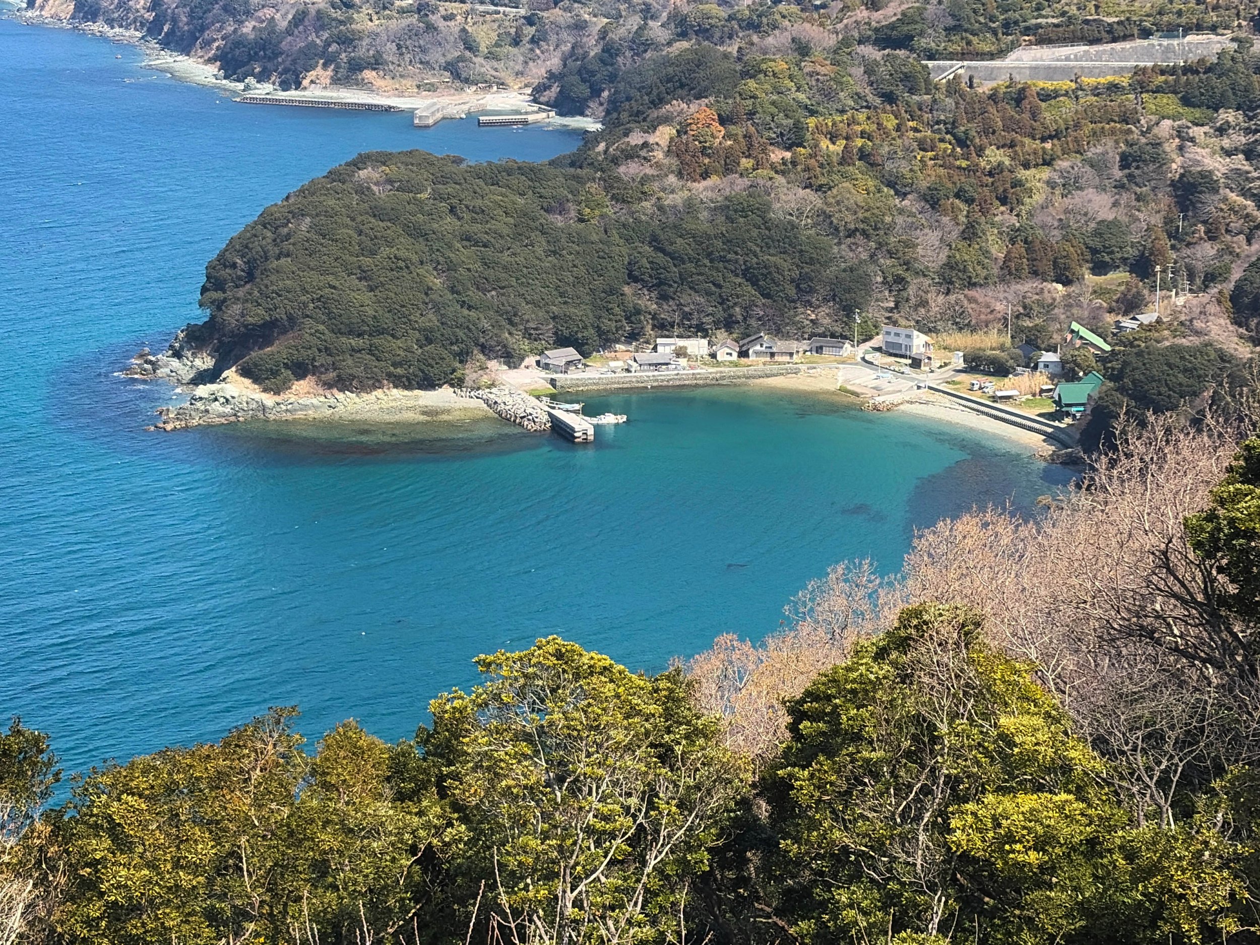 高台から見下ろした、青く美しい海と小さな港の風景です。手前には緑豊かな木々が広がり、その向こうに深い青色の海が広がっています。中央には入り江があり、透明感のある青緑色の水に囲まれて小さな集落や船着き場があります。奥には山の斜面に道路や防波堤、建物が点在し、自然と静かな暮らしが調和した穏やかな景色です。