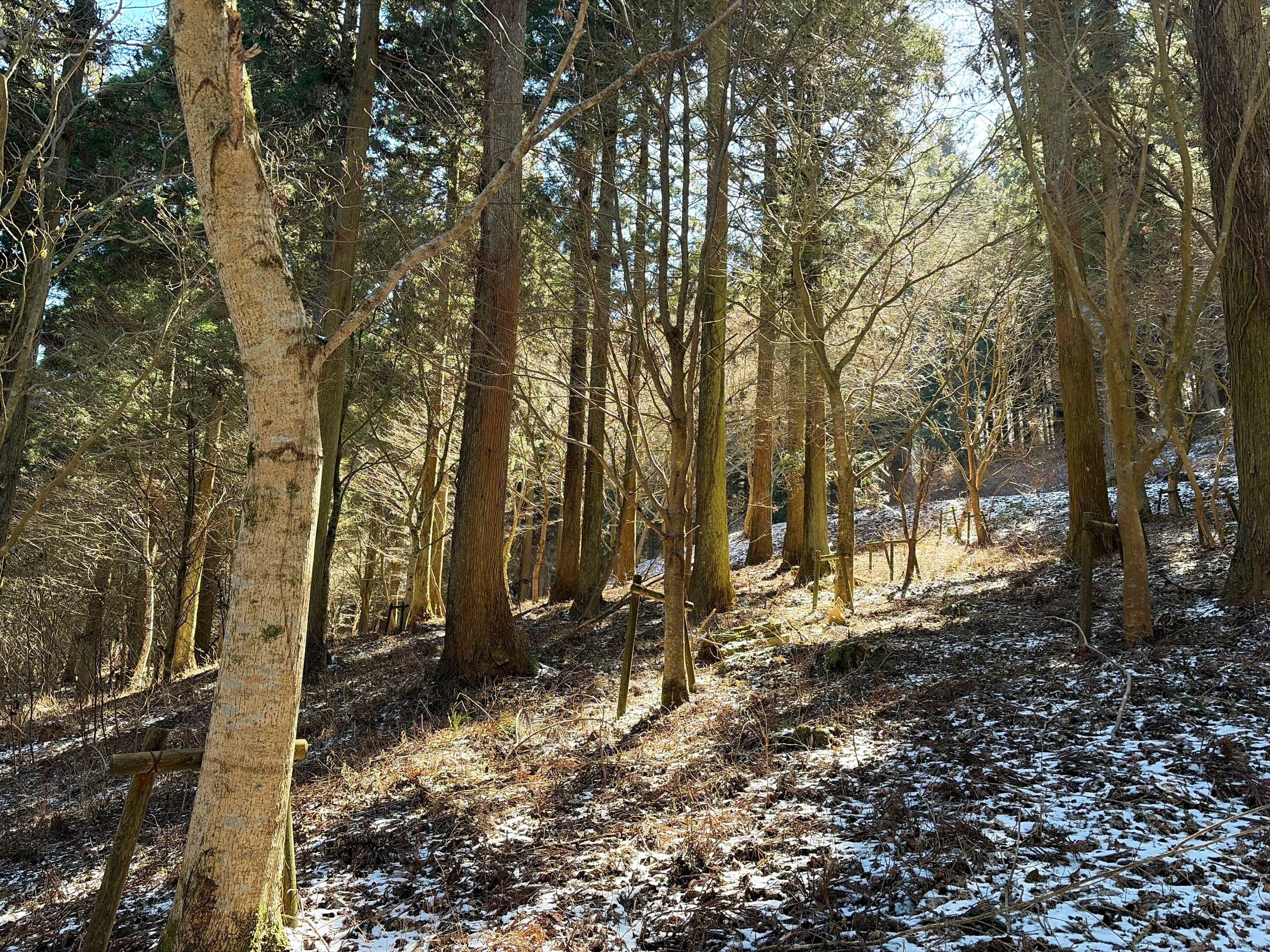 愛媛、四国、上林森林公園、風穴、雪景色