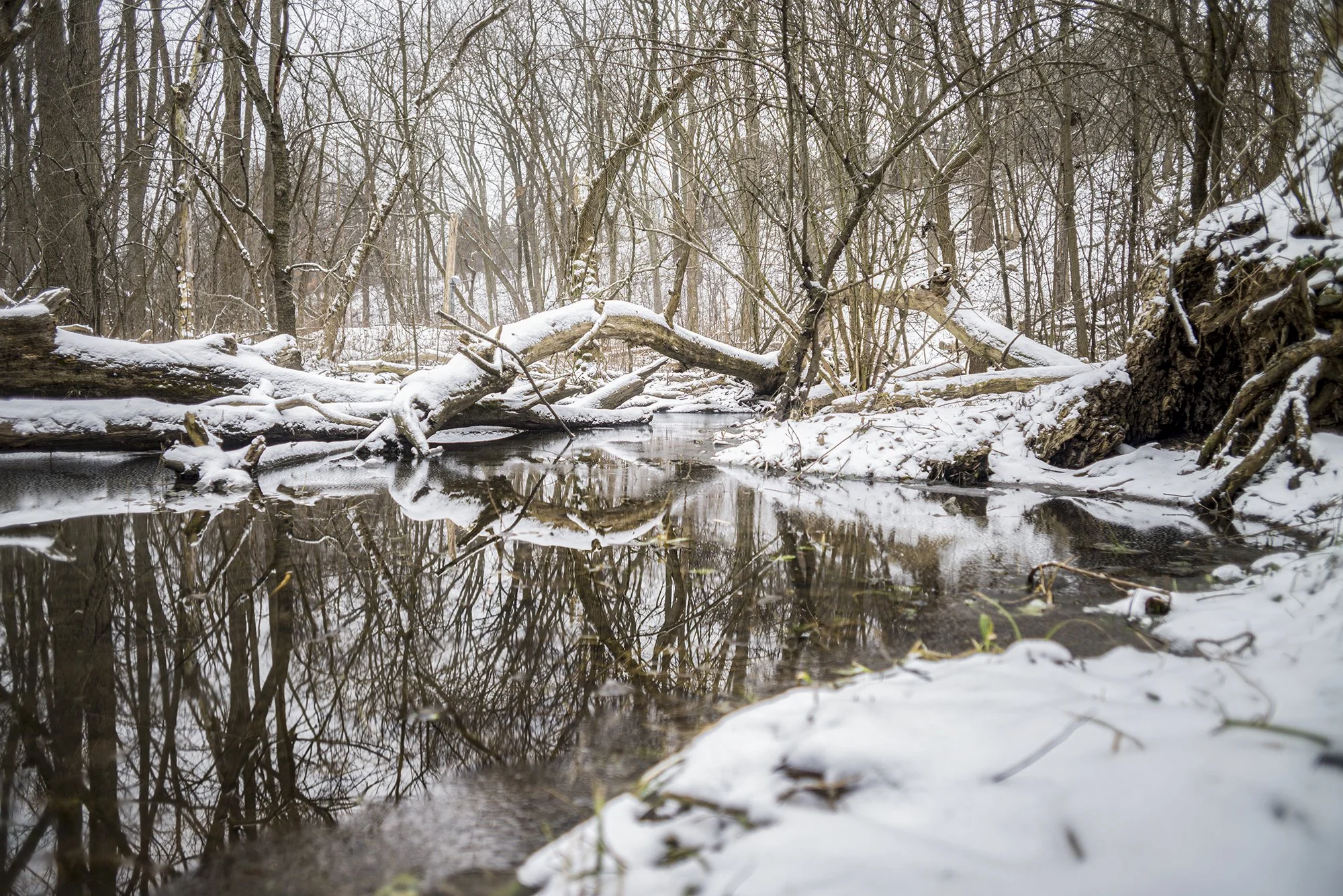 ロンドン　カナダ　オンタリオ州　パスウェイ　　雪　反射　london canada ontario Pathway snow reflection 