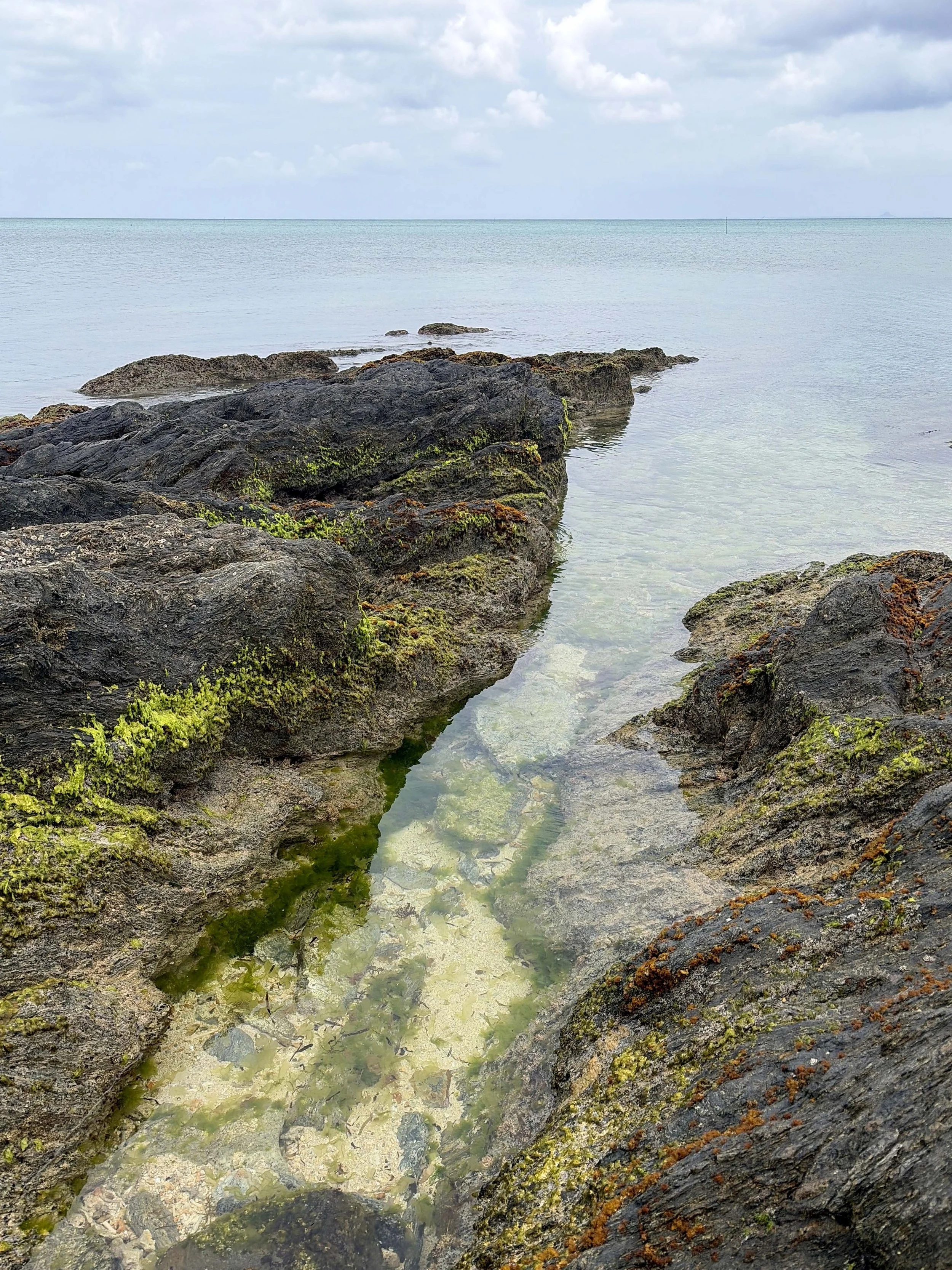 沖縄県の谷茶前の浜を撮影した風景写真。手前には黒く険しい岩場が広がり、岩の間には透明度の高い浅瀬が入り込んでいる。海底の砂や岩、海藻まで見えるほど水は澄み、緑色の海藻が岩肌を彩っている。奥には穏やかな青緑色の海と水平線が広がり、淡い雲が浮かぶ空と一体となった、静かで自然豊かな沖縄の海岸風景。