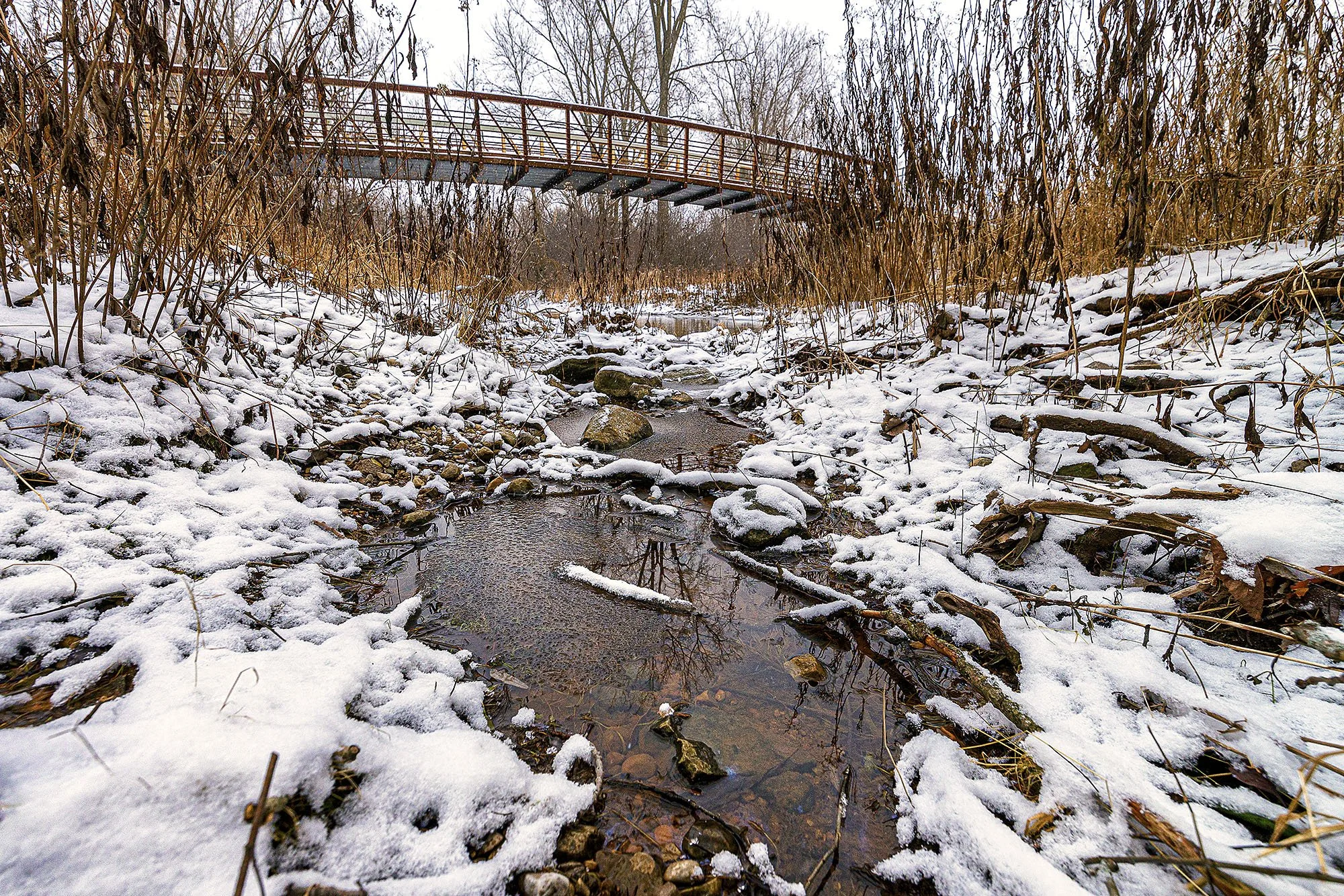 ロンドン　カナダ　オンタリオ州　川　木　反射　雪　london canada ontario  river tree Medway Creek pathway reflection snow 