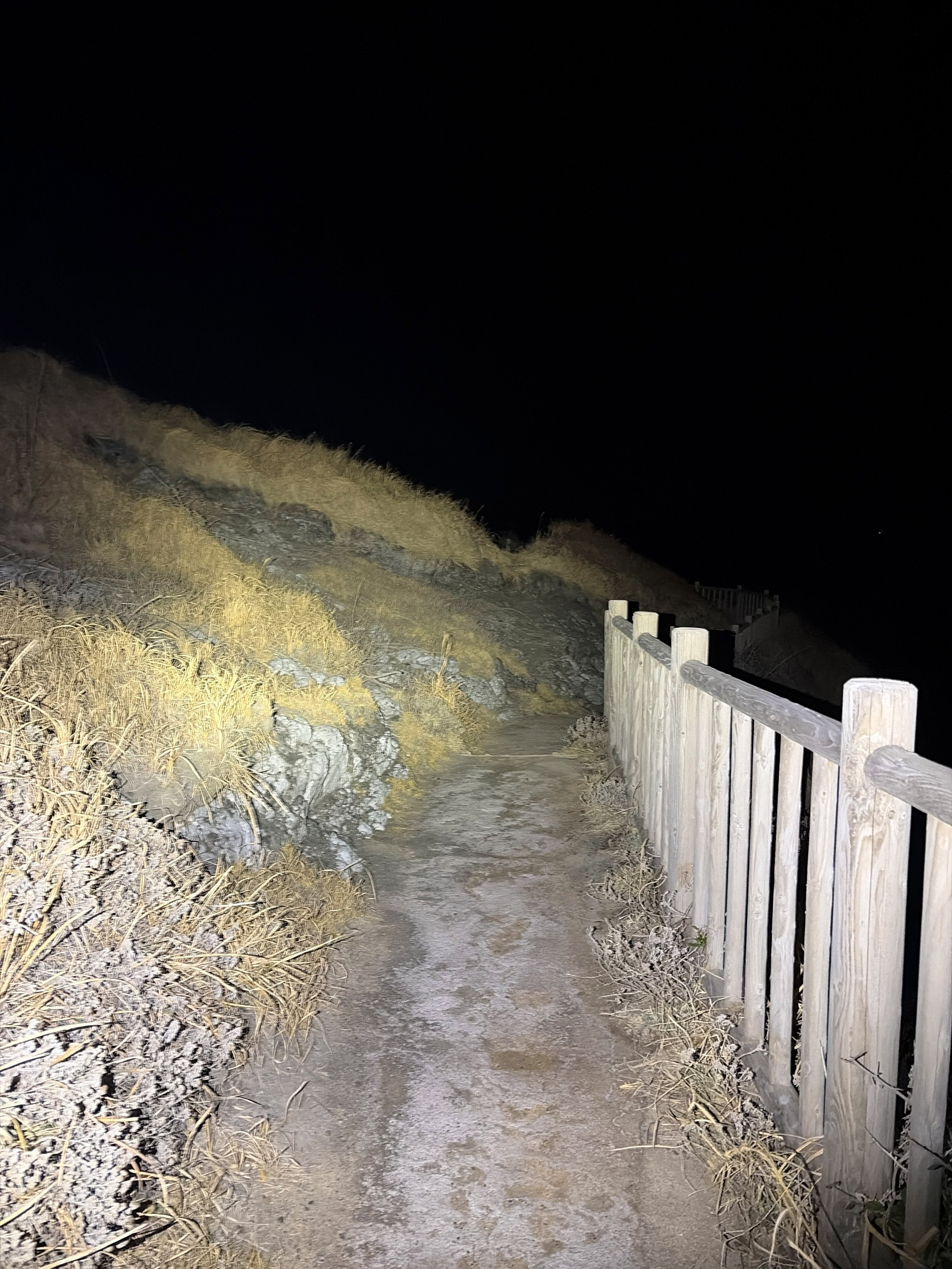 夜の山道に続く細い遊歩道を写した写真です。道は土と岩でできており、左側には枯れた草が生い茂る斜面が広がっています。右側には木製の柵が設置され、道に沿って奥へと続いています。強いライトに照らされた手前は明るく、周囲は深い闇に包まれています。先の見えない暗い道が、夜の静けさと少しの緊張感を感じさせます。