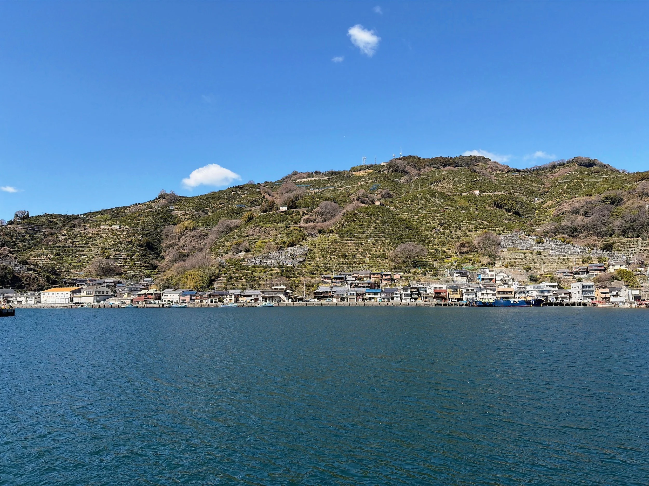 目の前には穏やかな海が広がり、青く細かな波が静かに揺れています。海の向こうには、斜面一面に段々畑が広がる大きな山があります。畑には柑橘類の木々が整然と並び、その間に石垣や細い道が見えます。山のふもとには、瓦屋根の家々が海岸沿いに連なっています。空は澄んだ青色で、白い雲がいくつか浮かぶ、明るく穏やかな風景です。