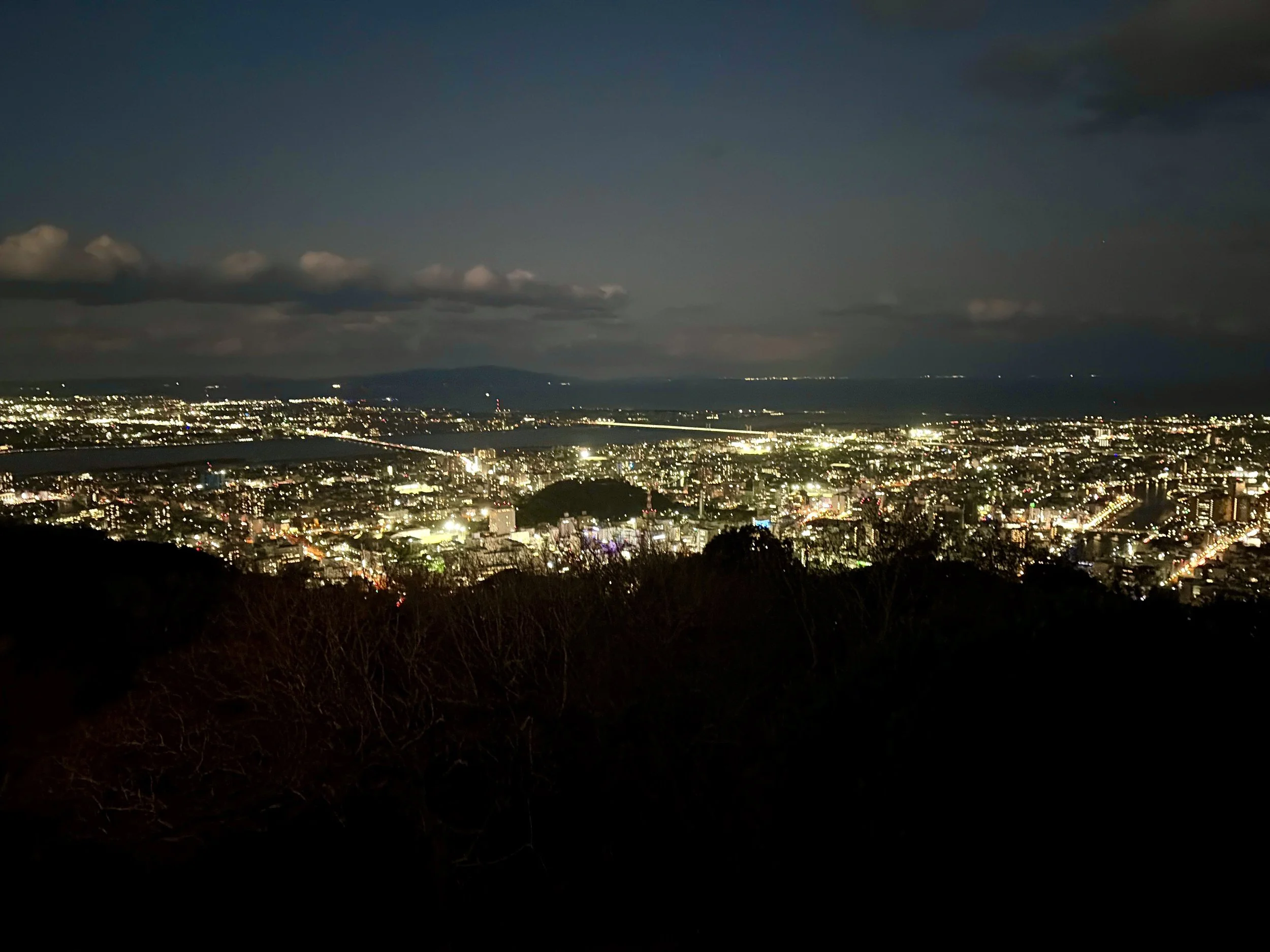 眉山、夜景、徳島