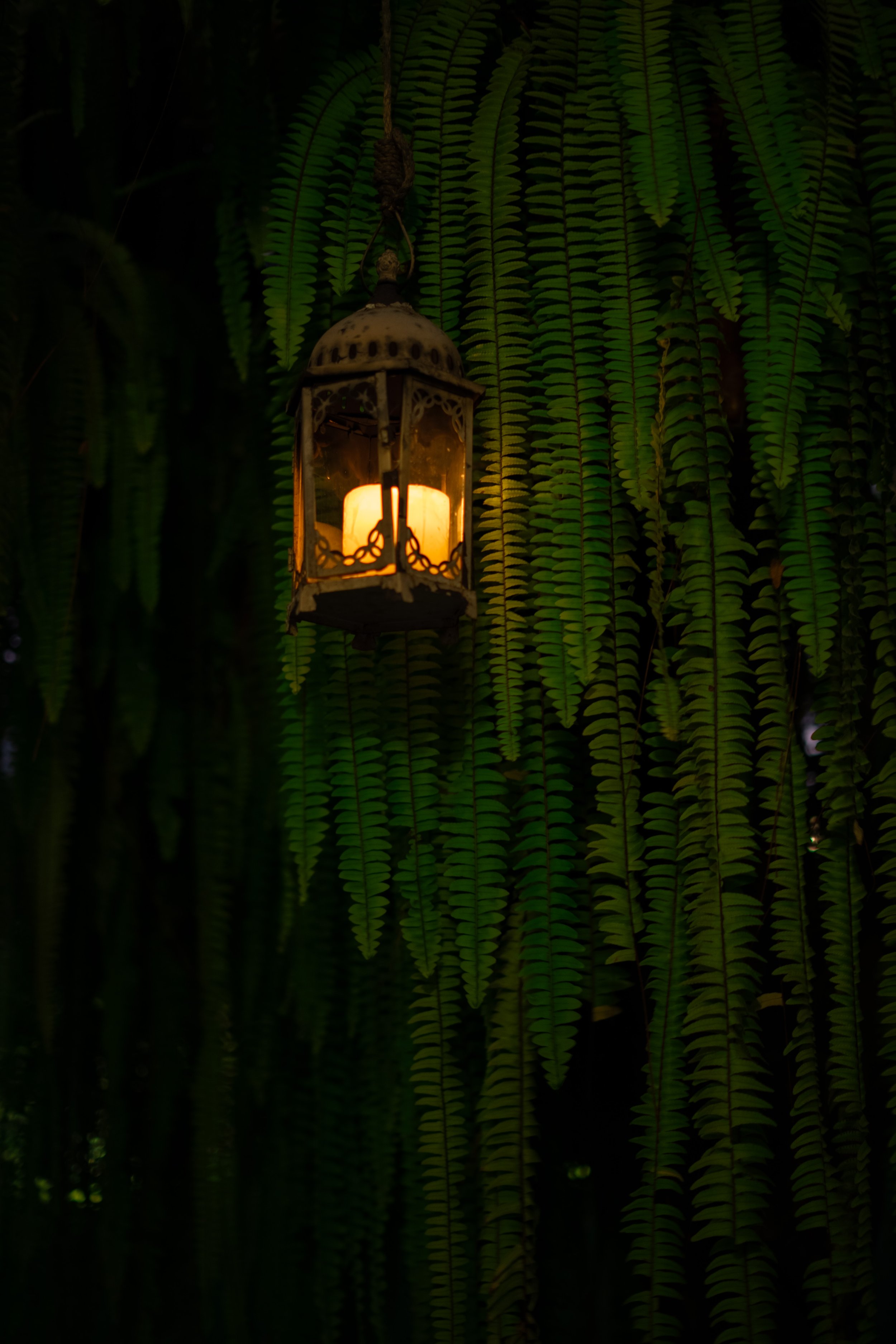 DSC08786.jpg