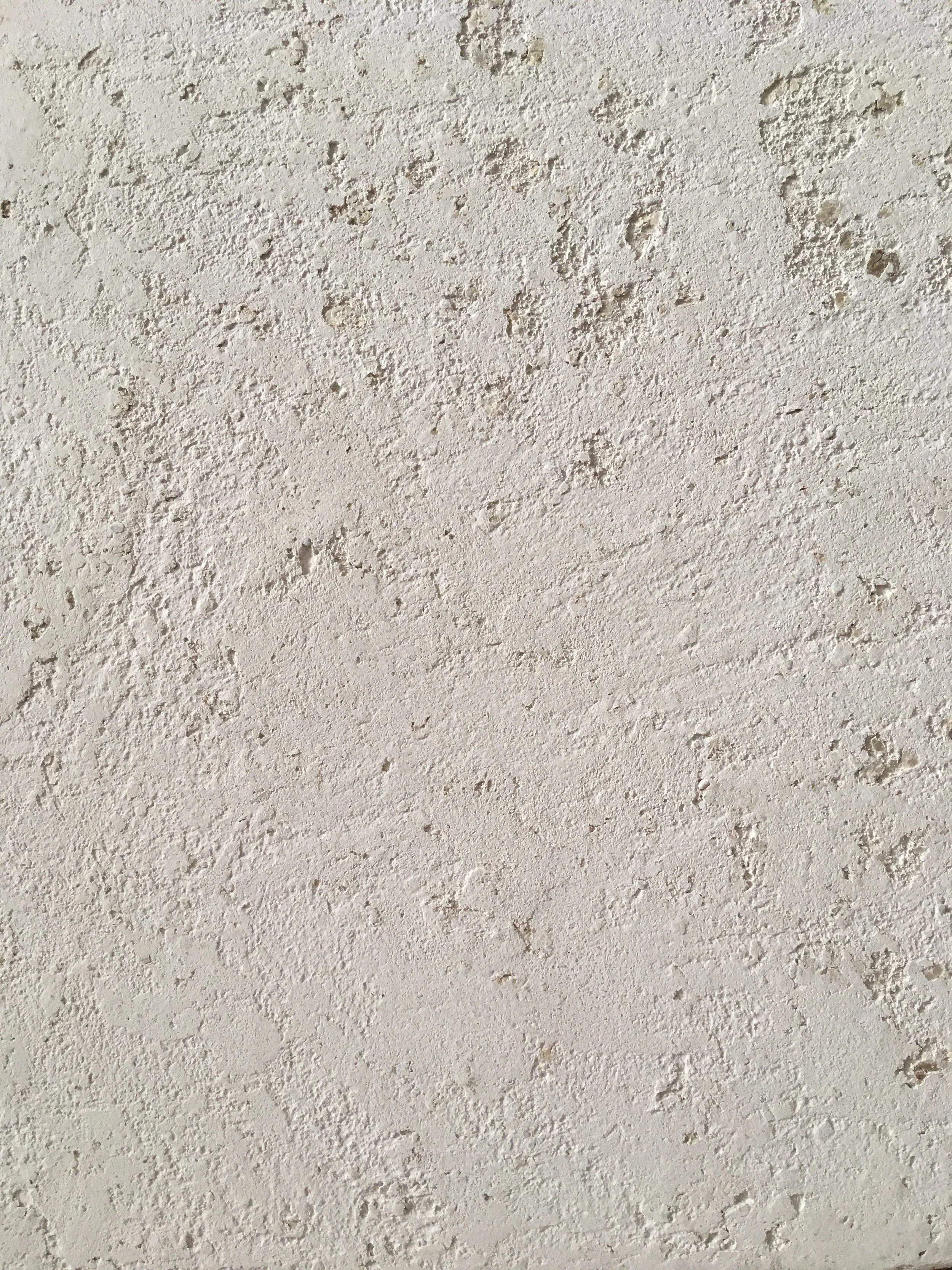 renaissancestuido_maddalenafanconi_plasterIMG_5064 2.JPG