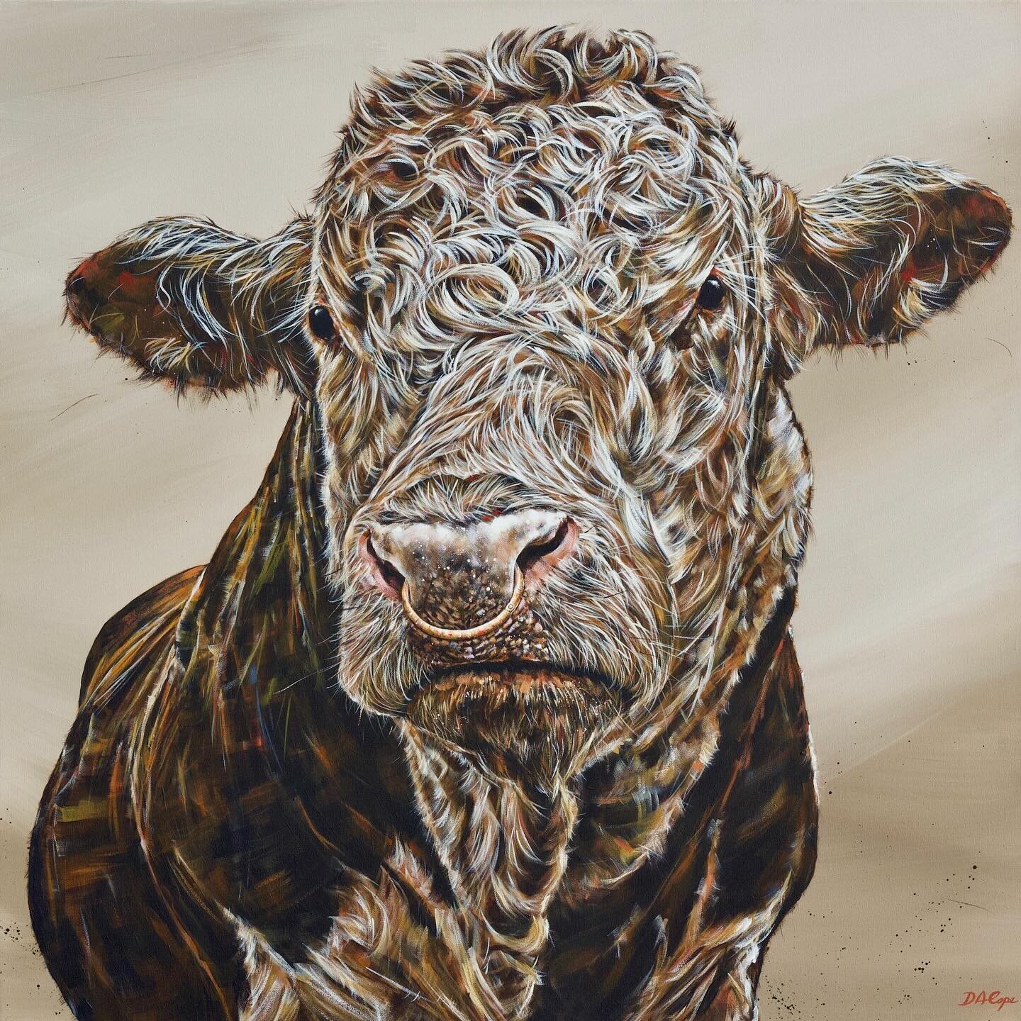 Full image of &lsquo;Hercules&rsquo; - the Hereford Bull, 76cm square on deep edge canvas👍