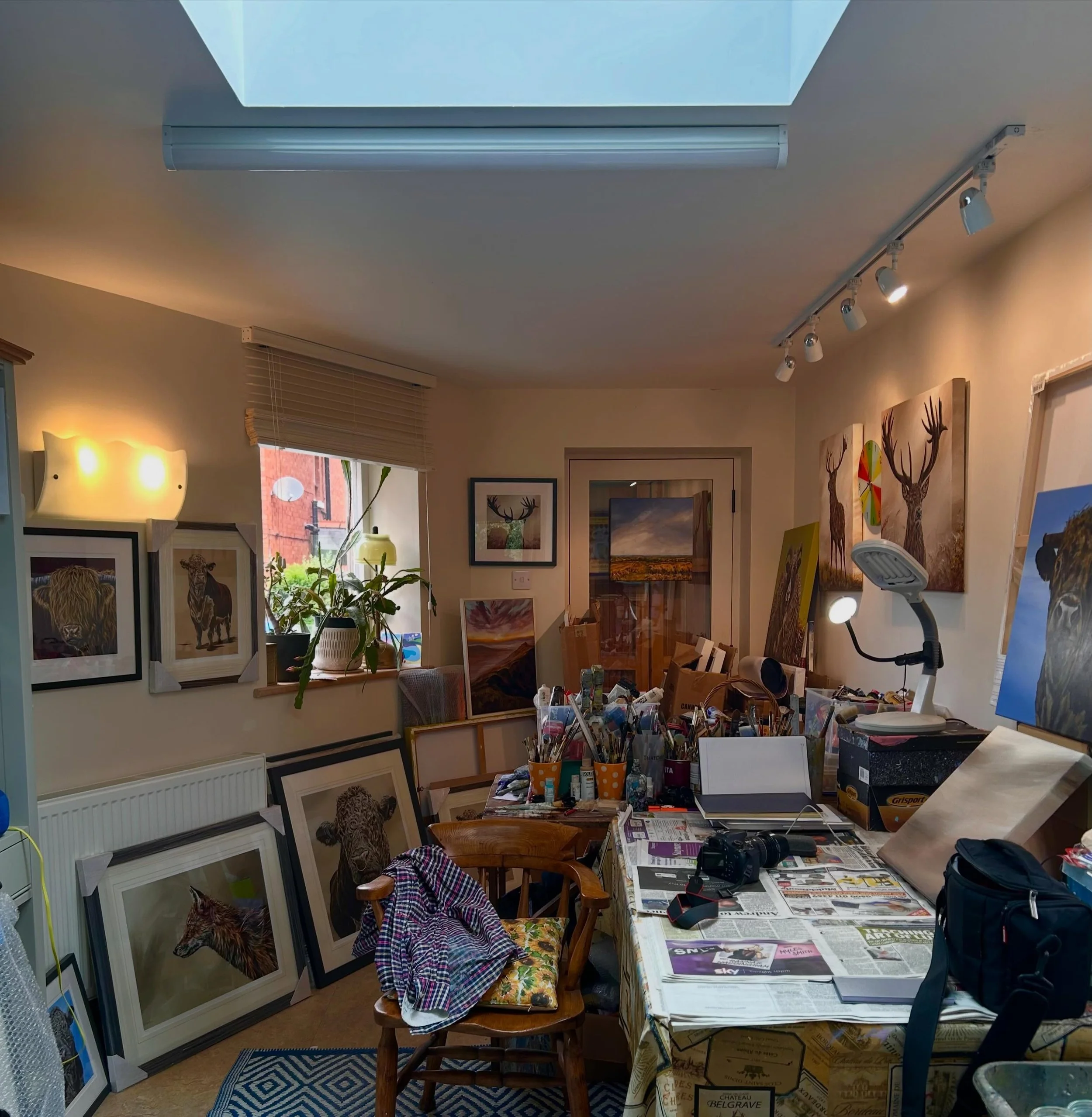 The studio is all primed up 👌 New lights all sorted &amp; ready to go🎨🎨the journey continues. Please DM me for any enquiries about any of my artwork you see on my page&hellip;thank you DC