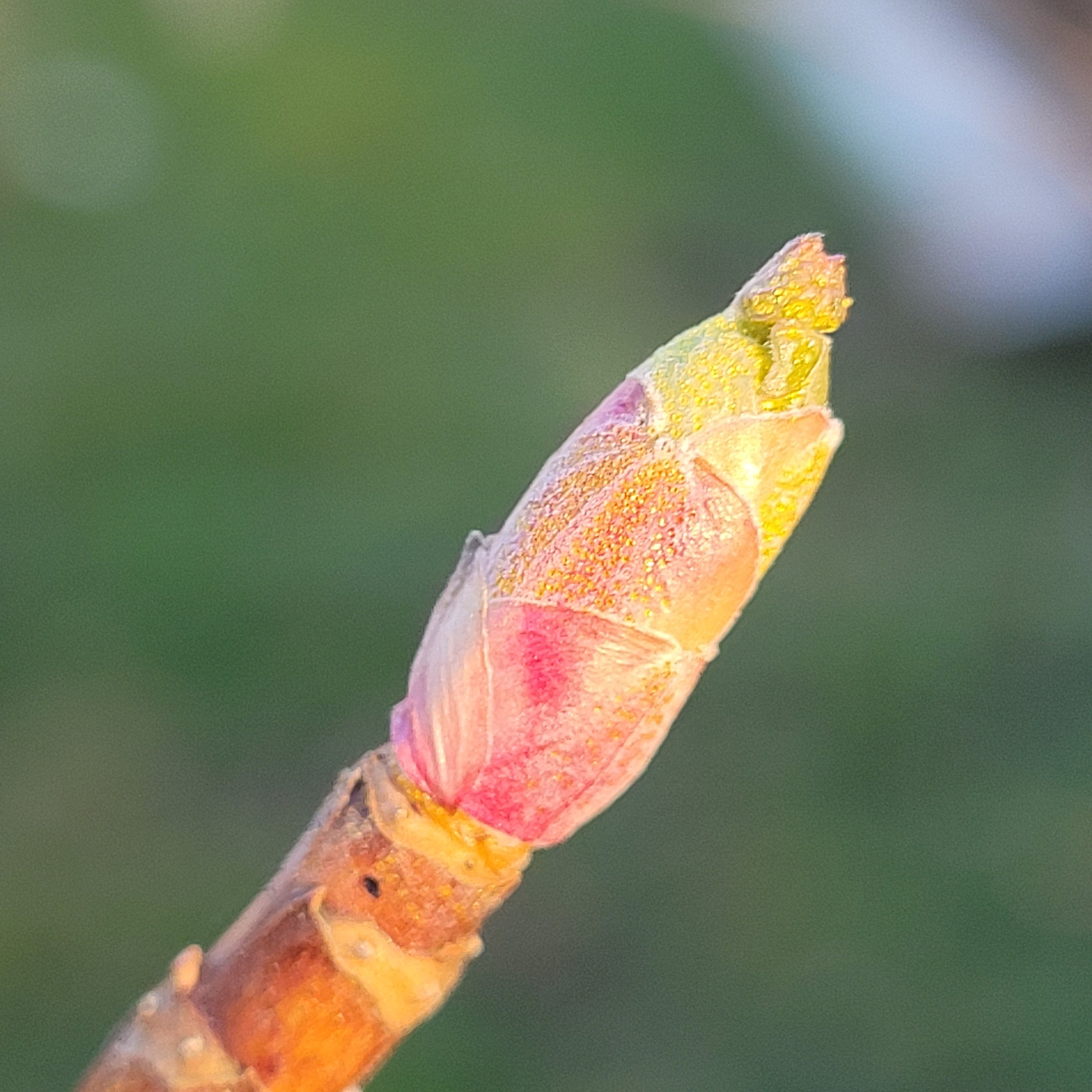 20220219_164316.jpg