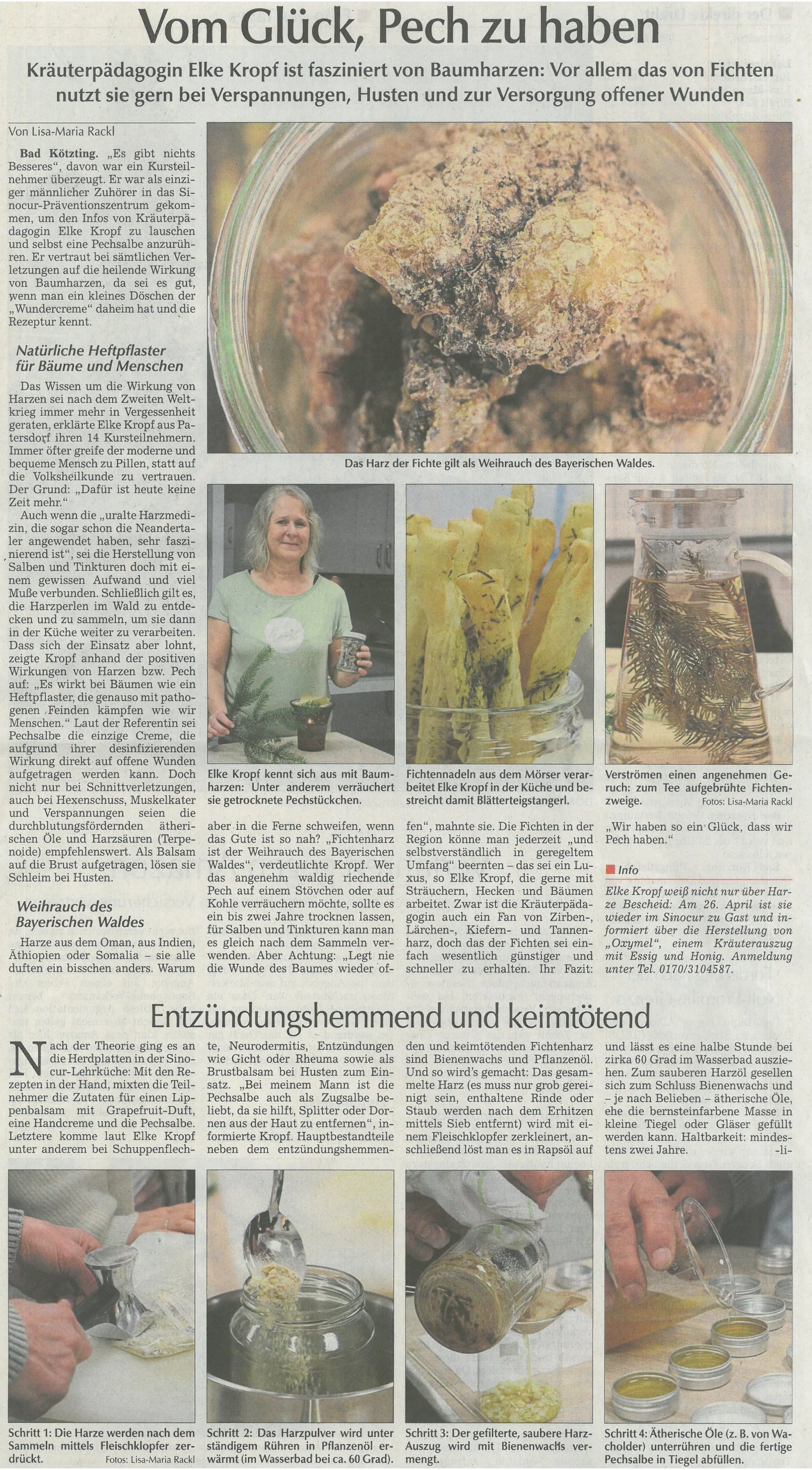 Baumharze-Elke Kropf-KötzZtg 06-04-23.jpg