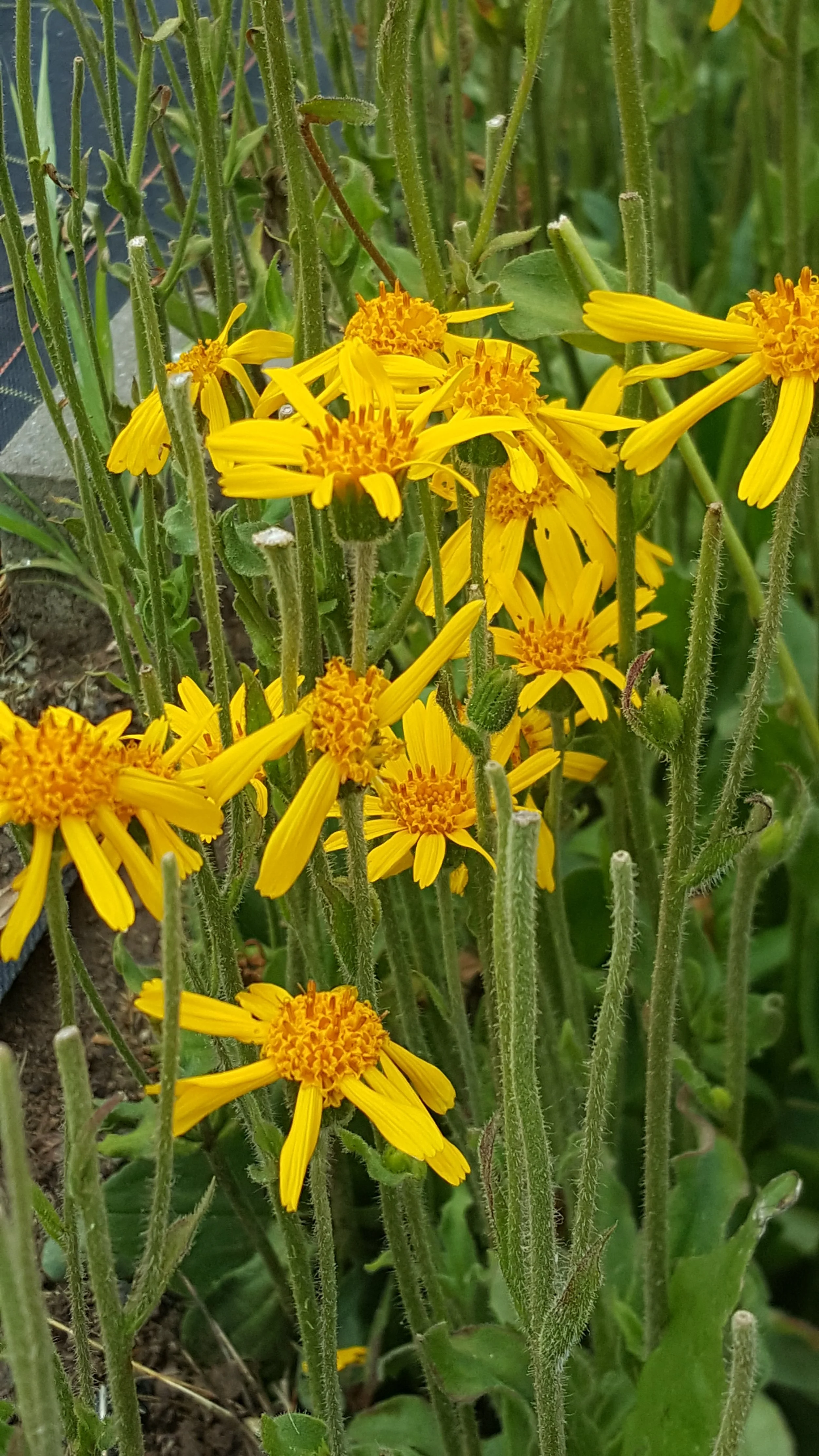 20190616_151355.jpg