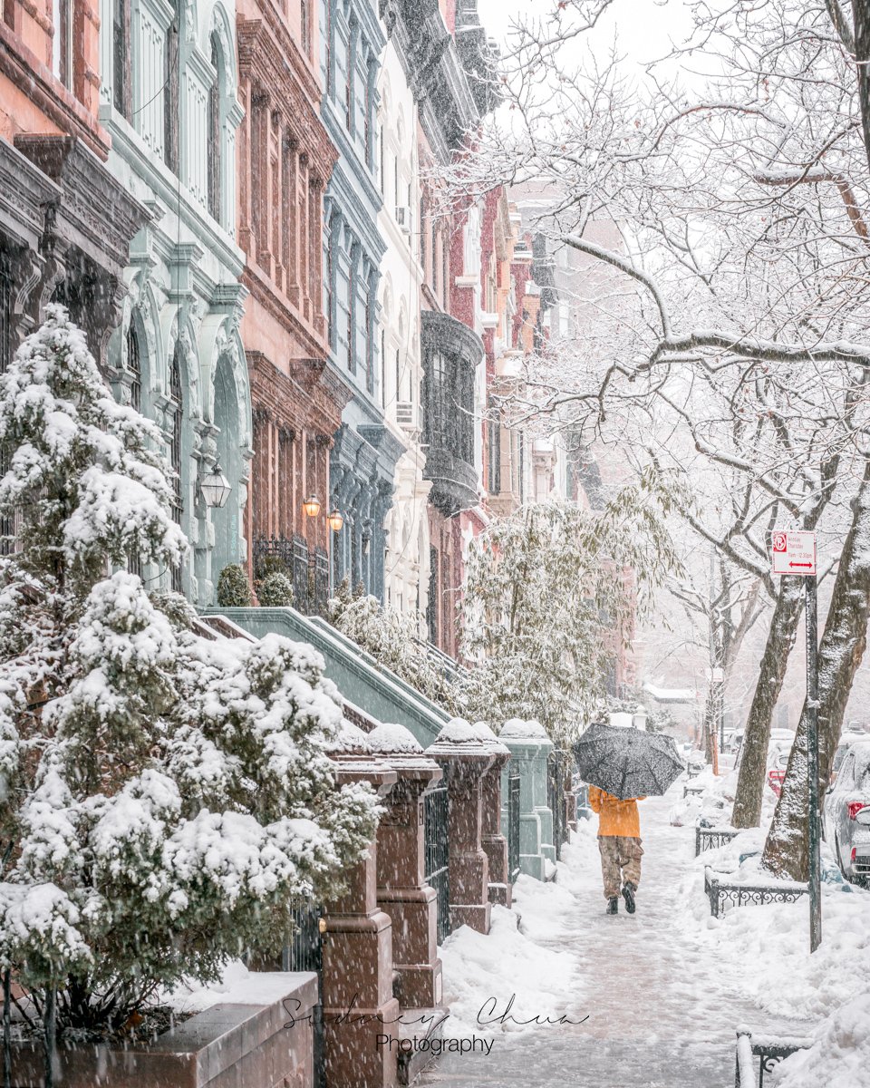 Snow Day / Upper West Side, NYC