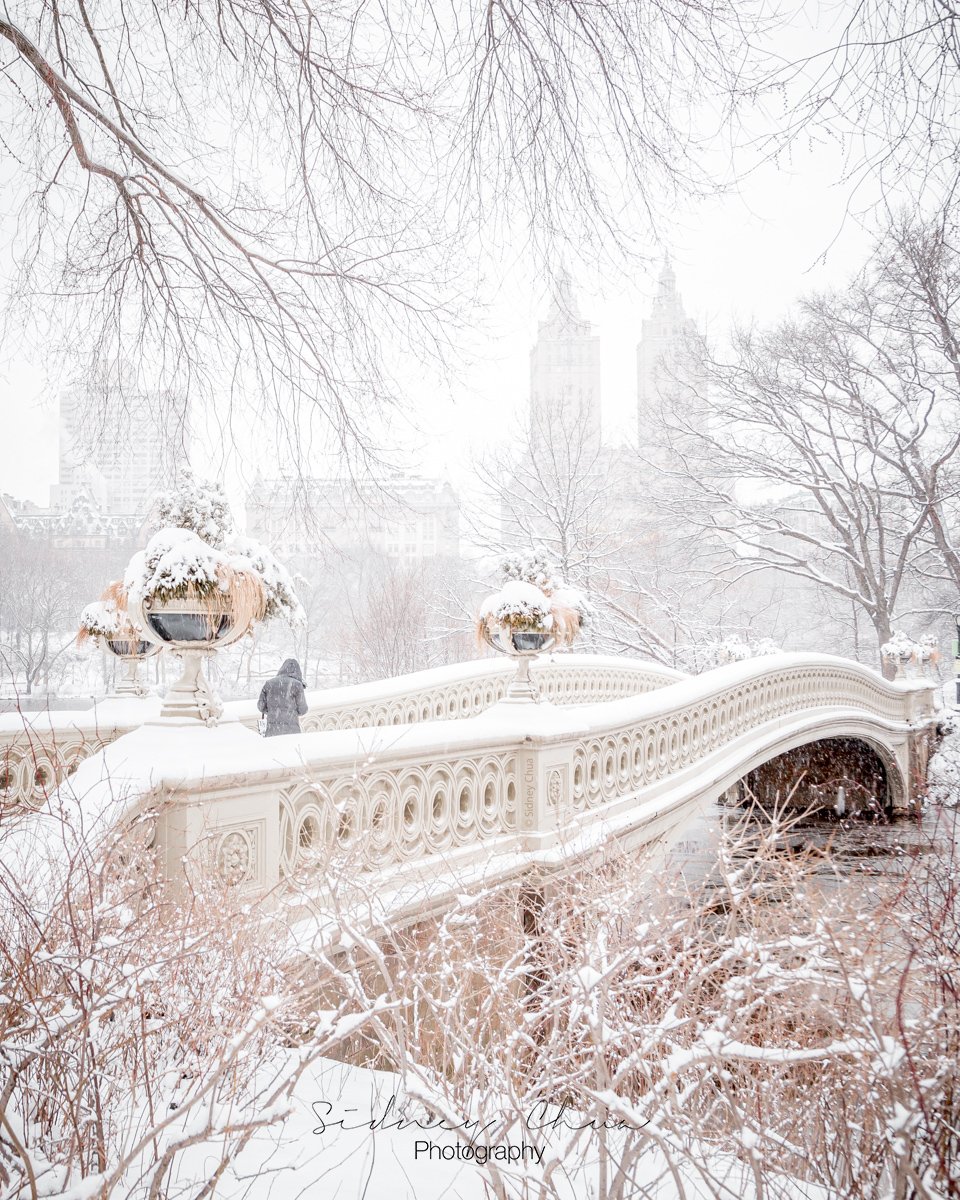 Winter Dreams / Bow Bridge, NYC