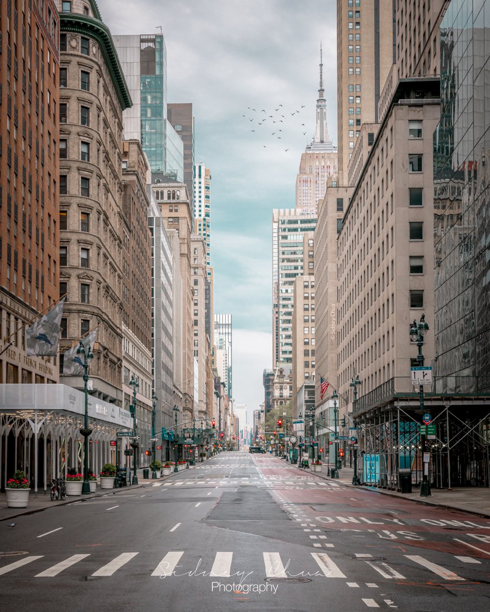 Avenue of the Americas