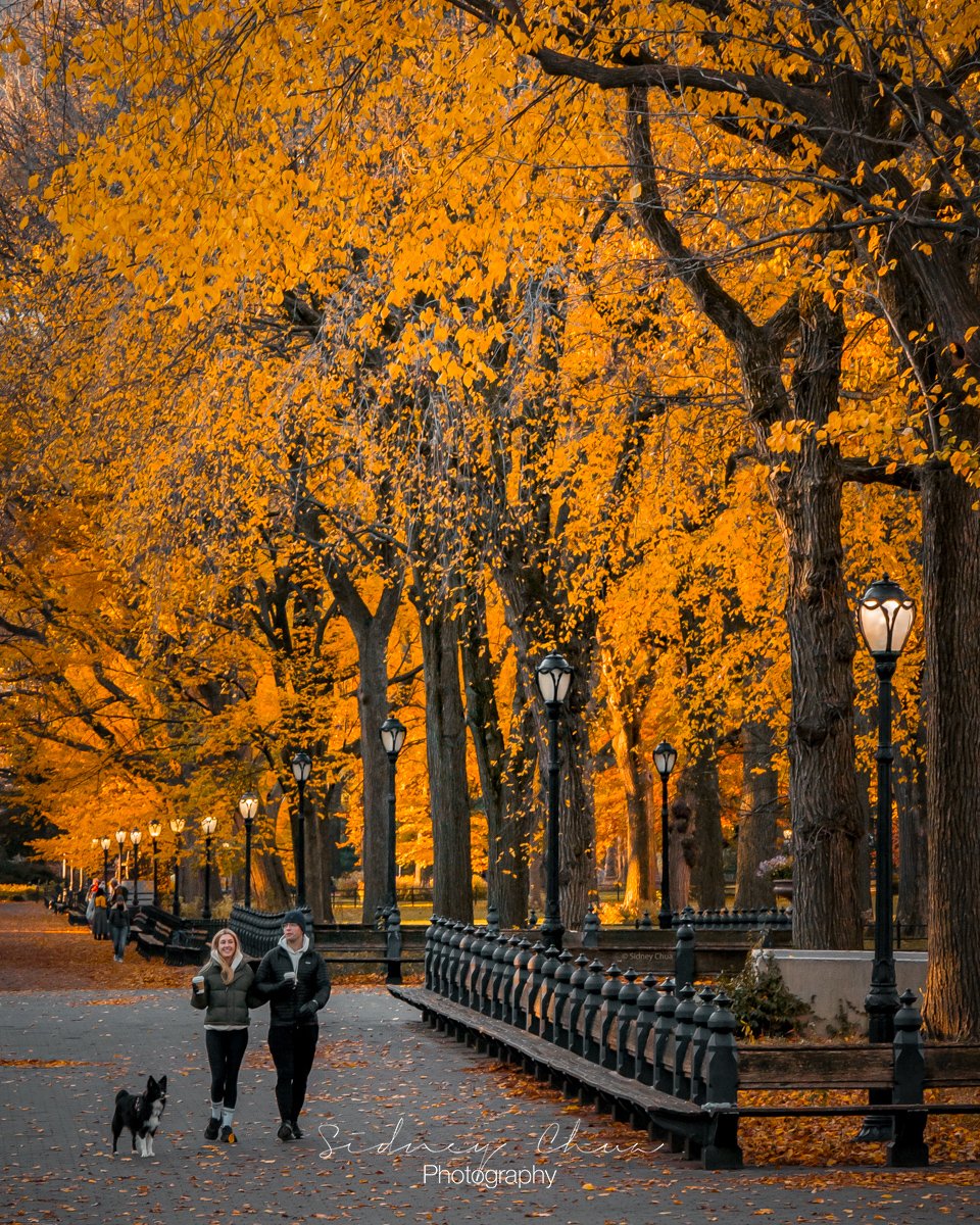 Happy Together / The Mall, NYC