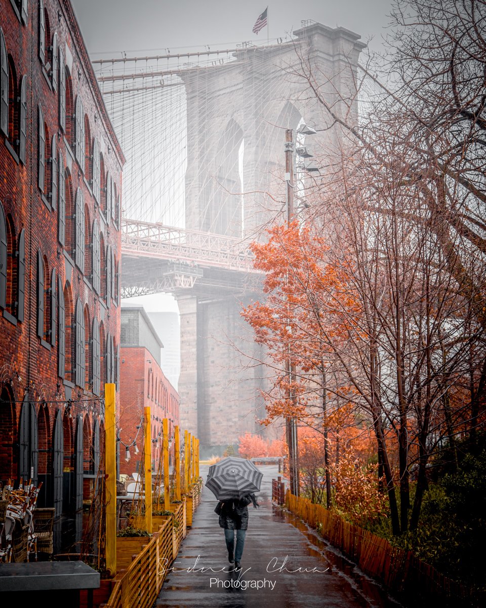 November Rain / Brooklyn Bridge Park, NYC