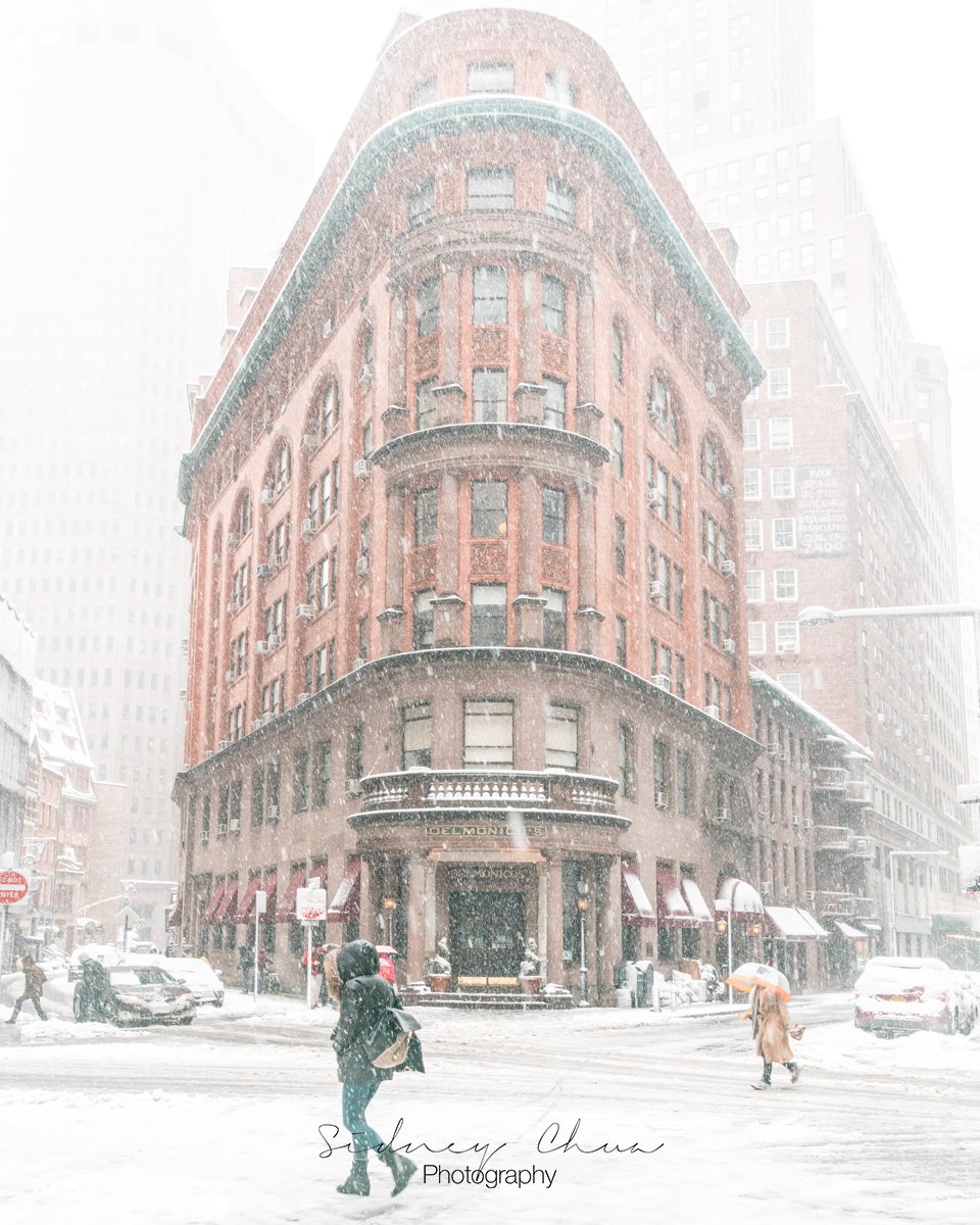 Icing on the Cake / Delmonico's, NYC