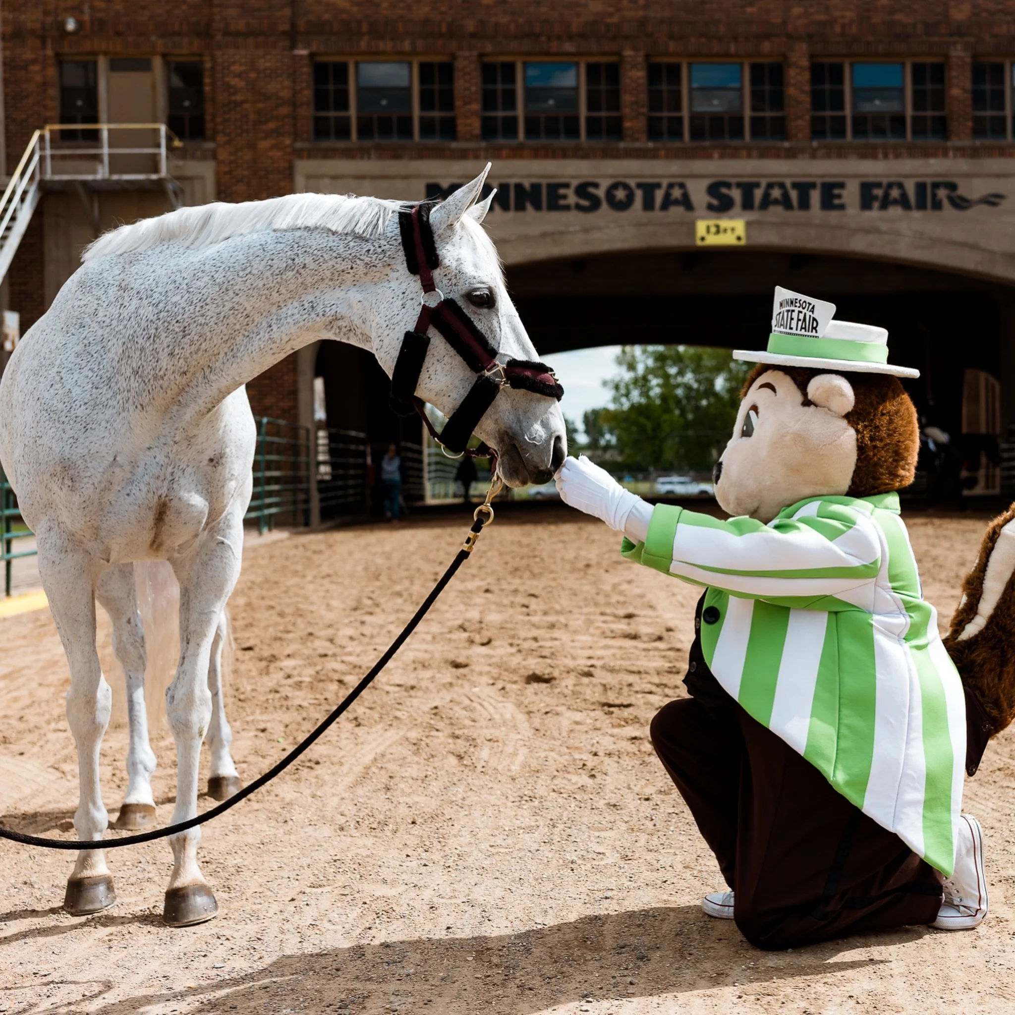 Kick off to the @mnstatefair is a lovely experience. It&rsquo;s like the county fair version of the real thing. Still a dream to be able to photograph it. You can still experience the fair! It&rsquo;s open through Sunday. Check it out, smile and laug