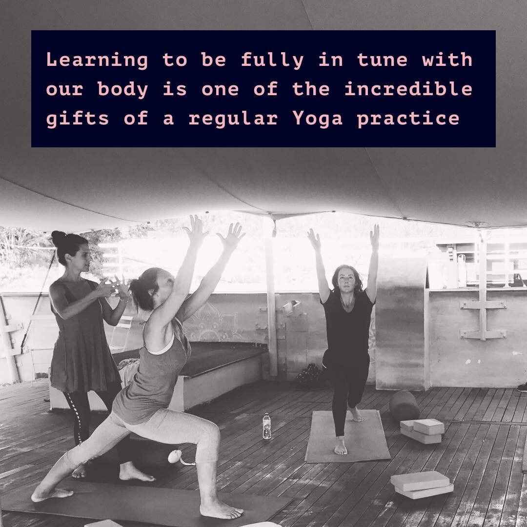 ✨ I see it in the students and I see it in me. Yoga (especially when integrated as a regular practice) is absolutely magical!
 
✨ Sometimes I do take for granted the awareness developed over the years through my Hatha Yoga practice, conscious breathi