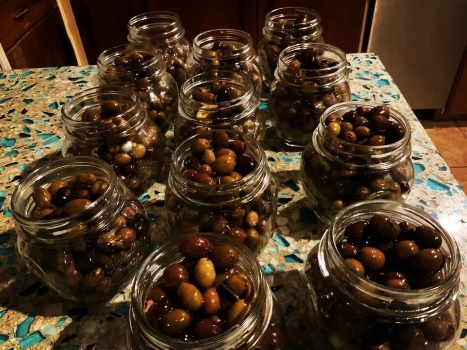 Open jars of olives.JPG