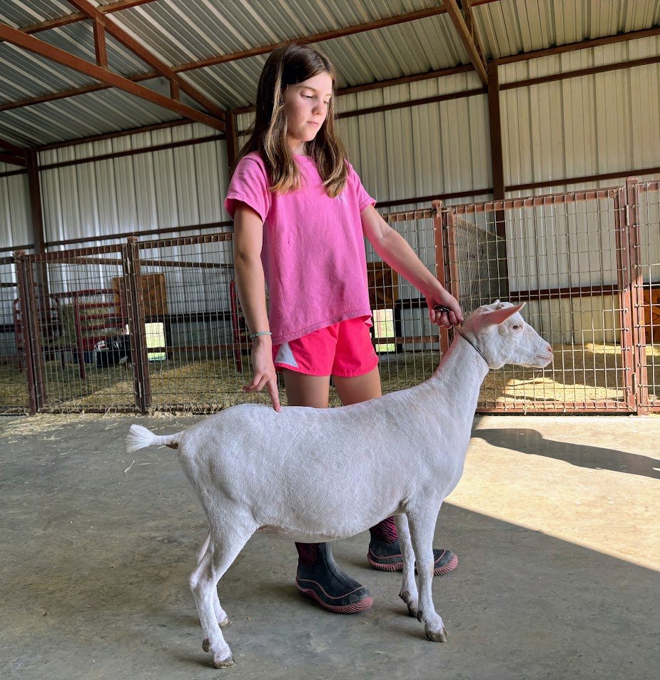Showmanship Practicing