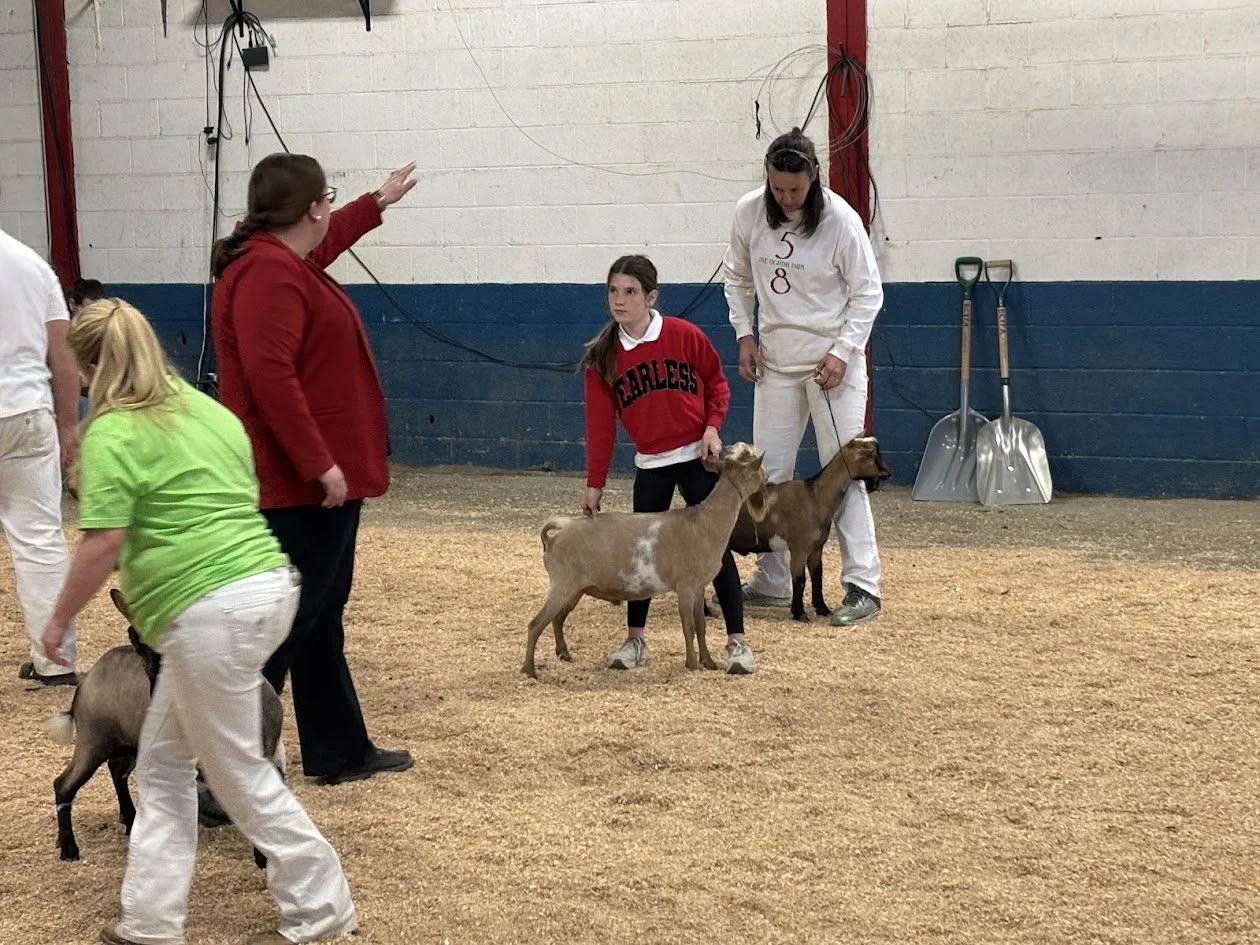 Apollo getting 4th place. He has some growing to do.