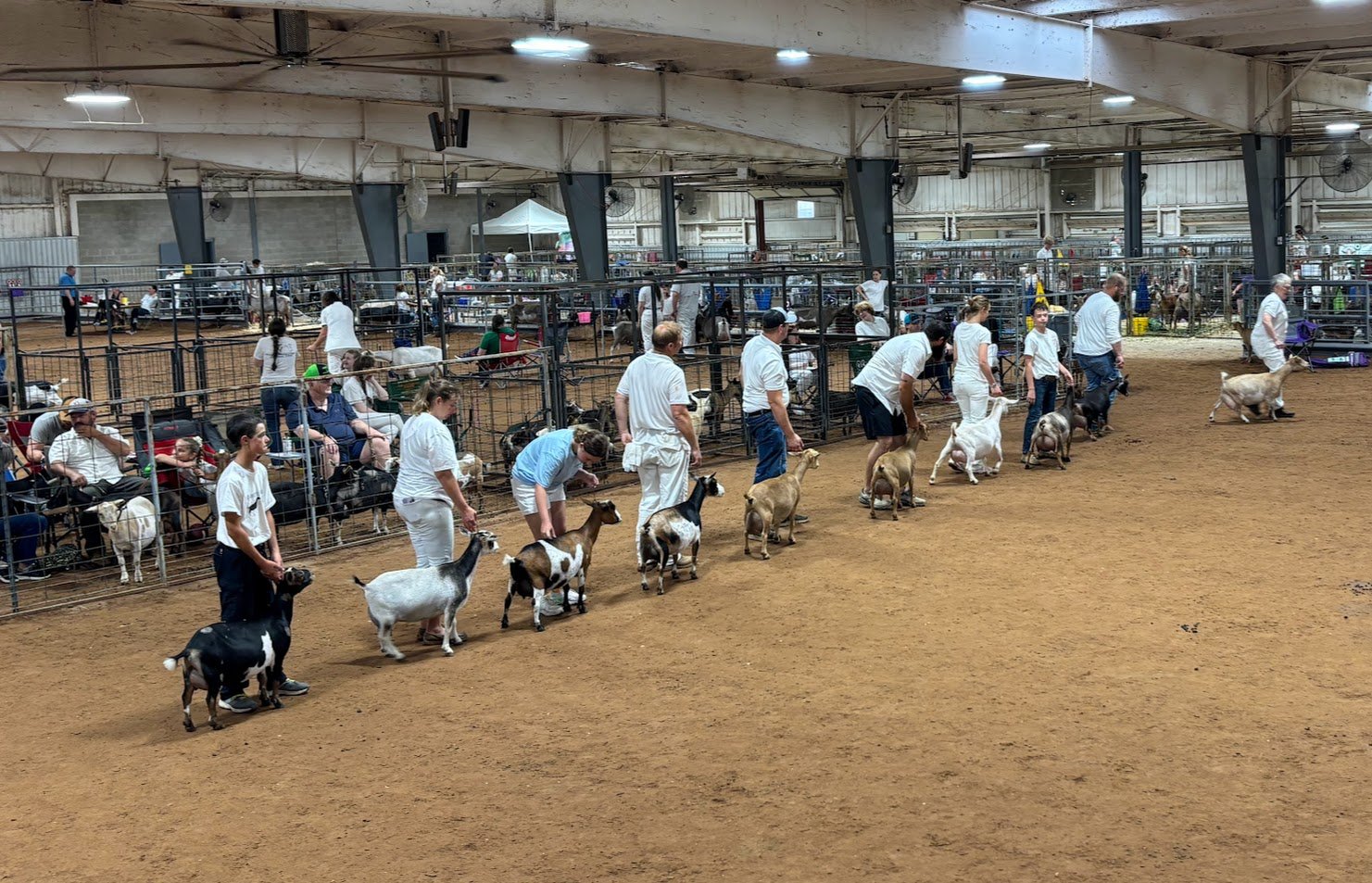 Heartland Show & Arbuckle Classic 2025