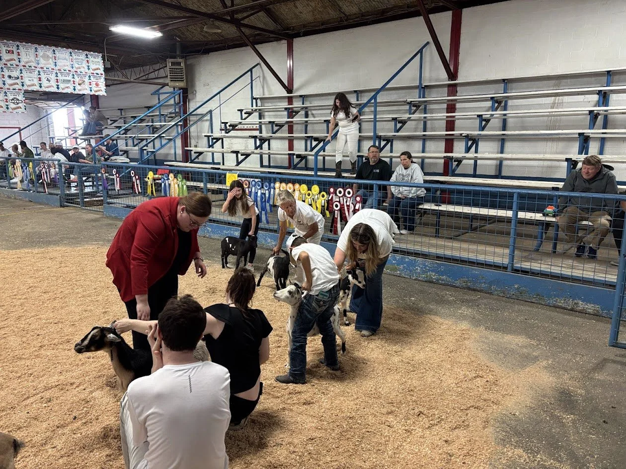 Helping show for other barns.