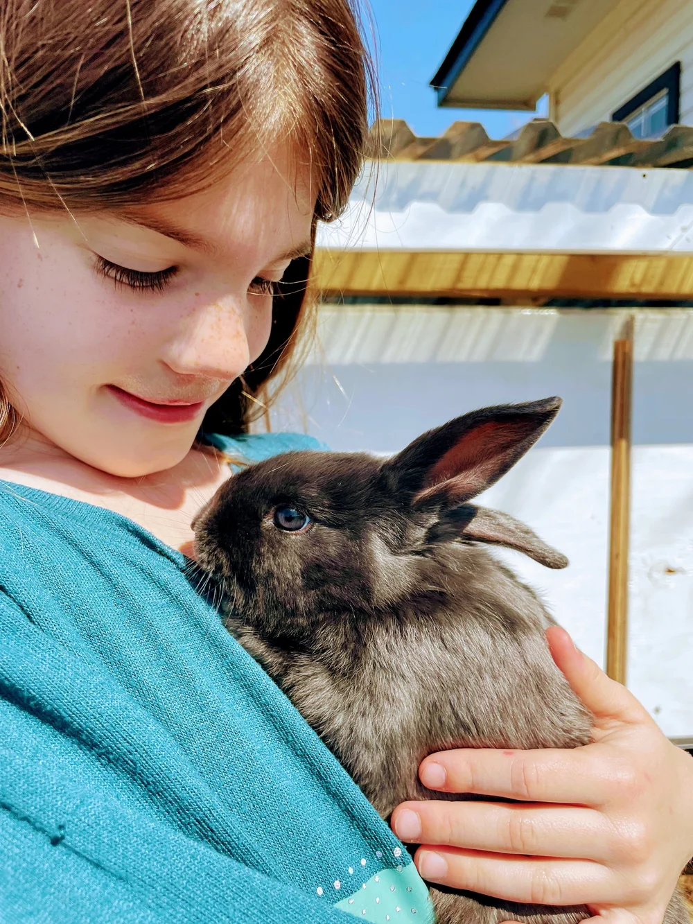 5 Hard Lessons About Breeding Rabbits — Salt Ranch