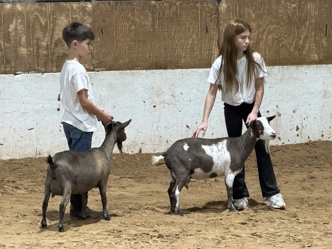 CCFF Show Kids 2 2026.jpg