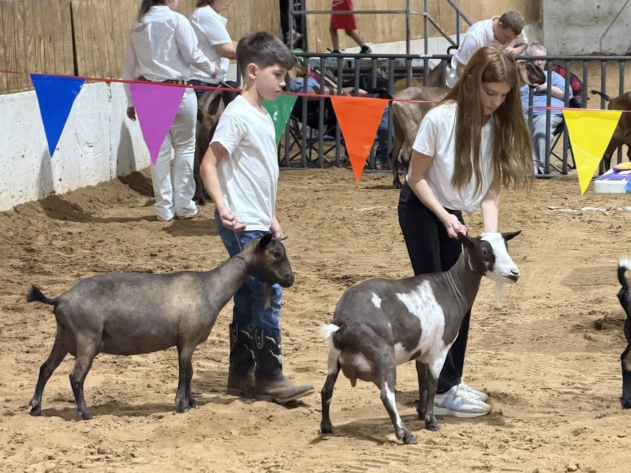 CCFF Show Kids 2026.jpg