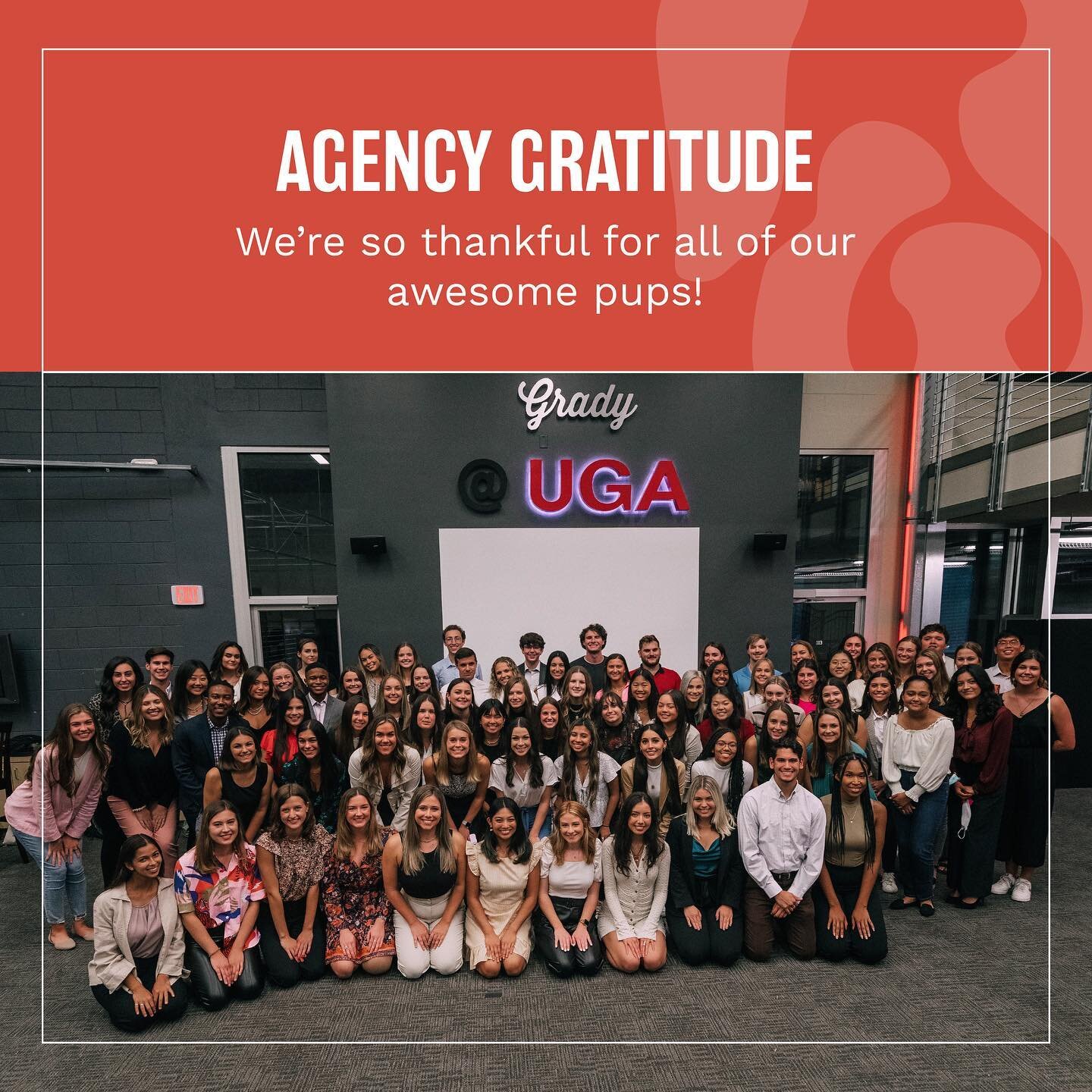 We are always thankful for our members&rsquo; contributions to this agency, and these top dogs deserve some extra recognition 🐶 

#thankful #TDagency #gratitude (1/2)