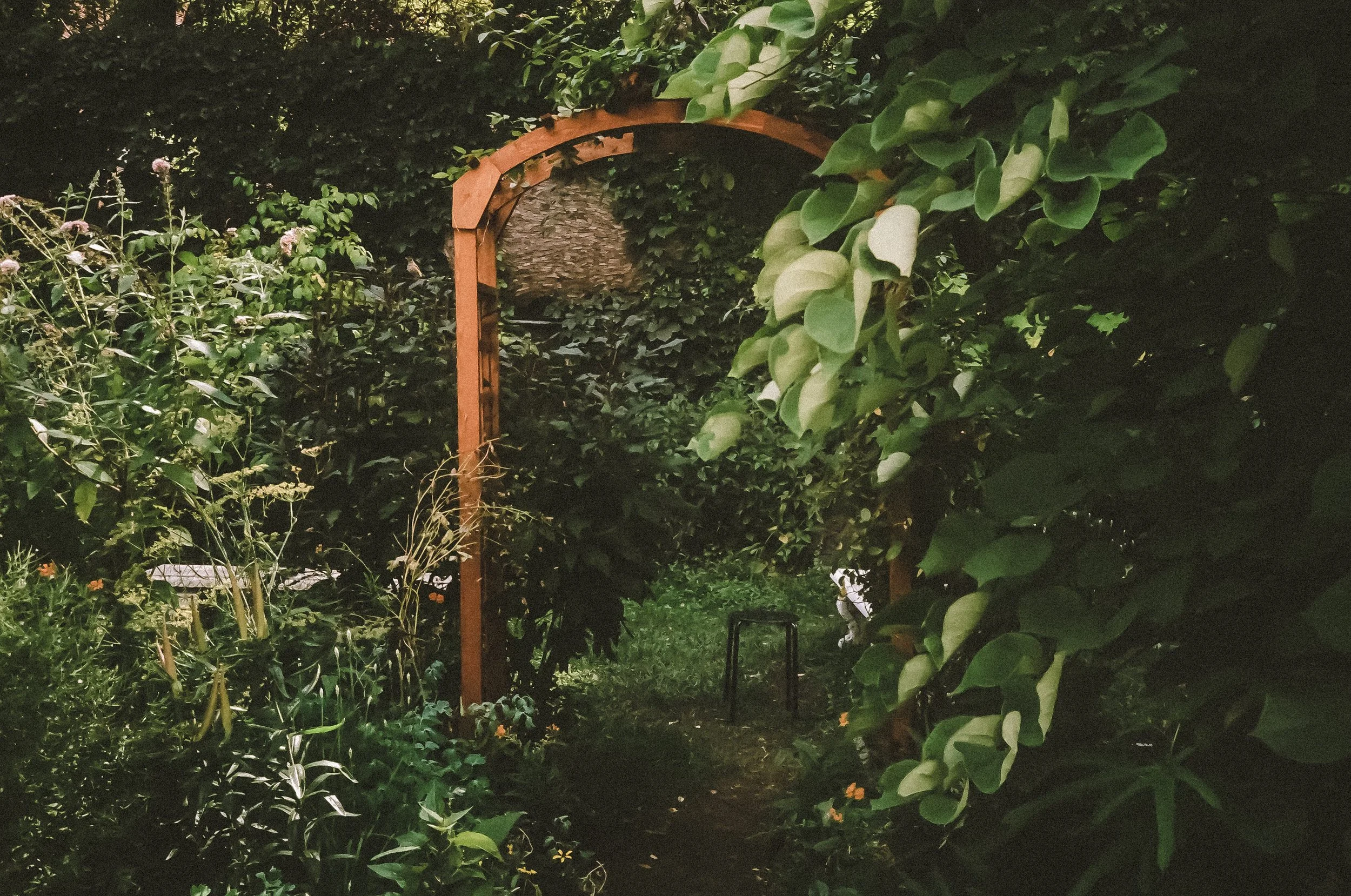 Hidden Garden