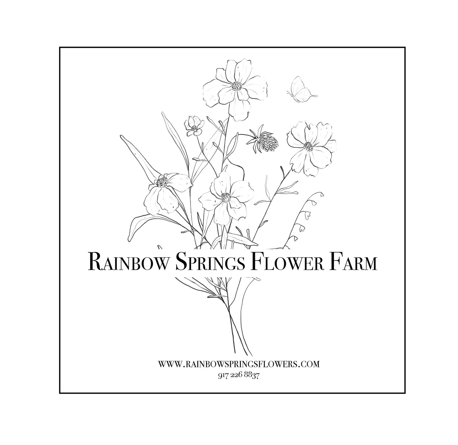 Rainbow Springs Flower Farm
