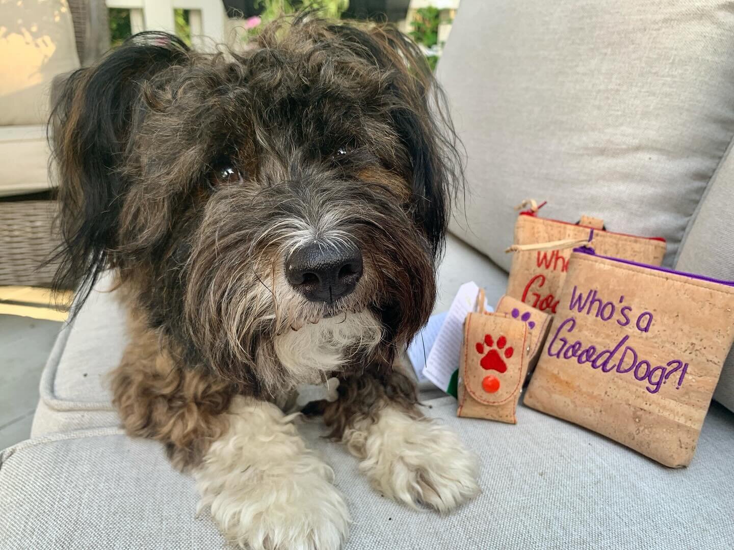 Well&hellip;. Sophie is a good dog of course!  Making more of these for my upcoming spring and summer shows.  #doggietreatbags #corkbags #handmadepetgifts
