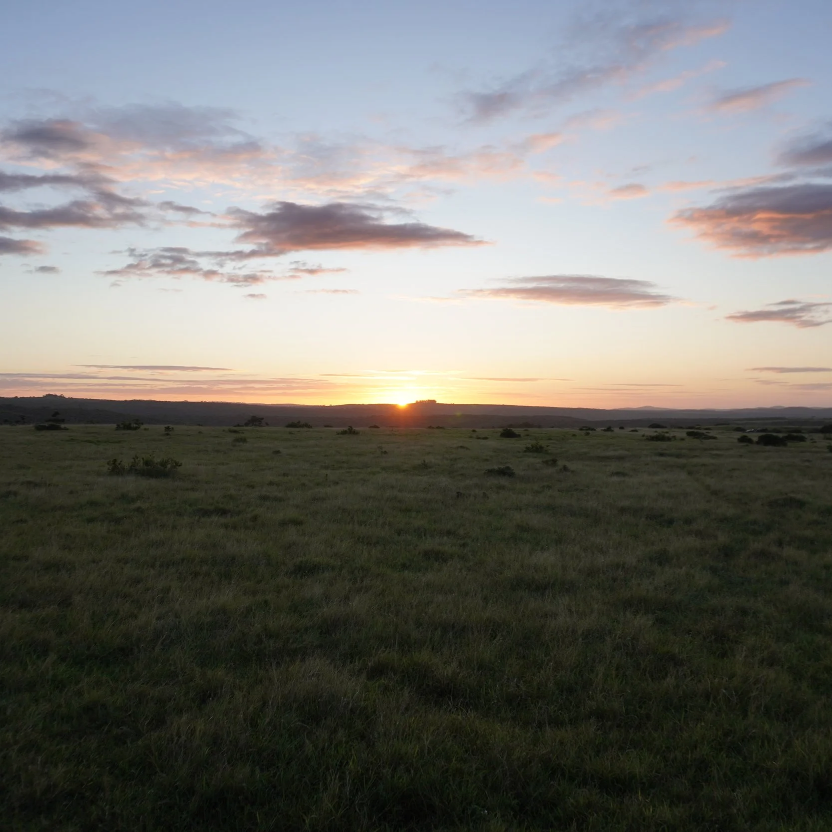 wonderstruck / reserves