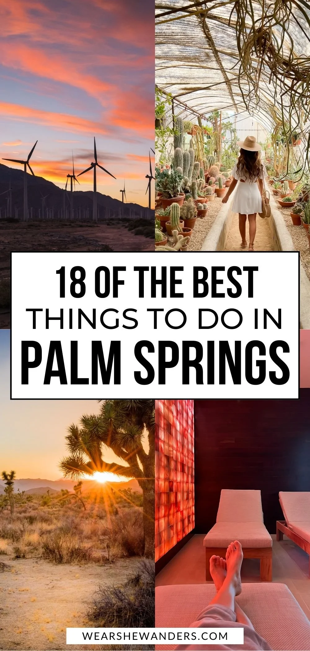 Best Things to Do in Palm Springs California