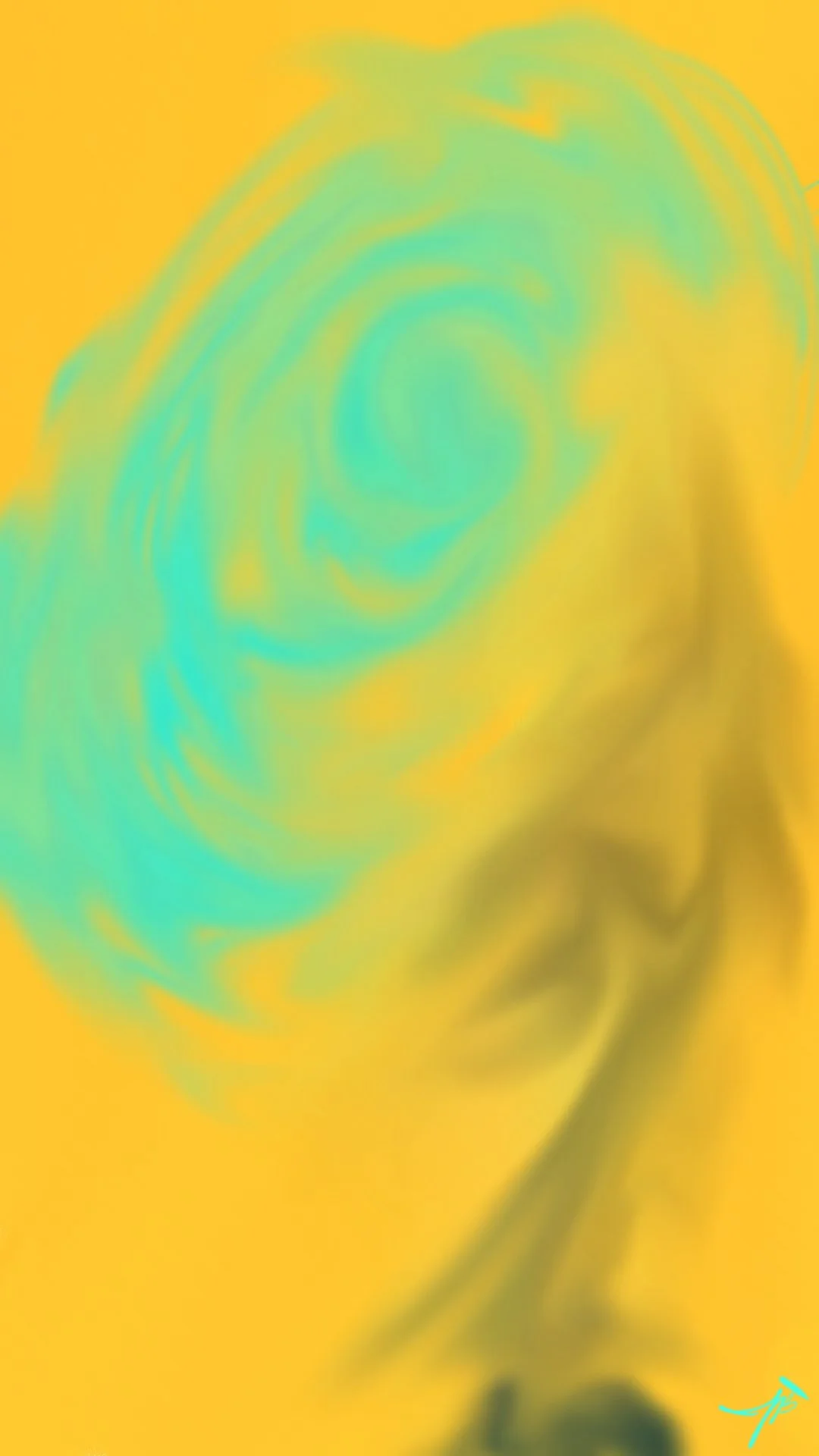 If Roses Had No Thorns