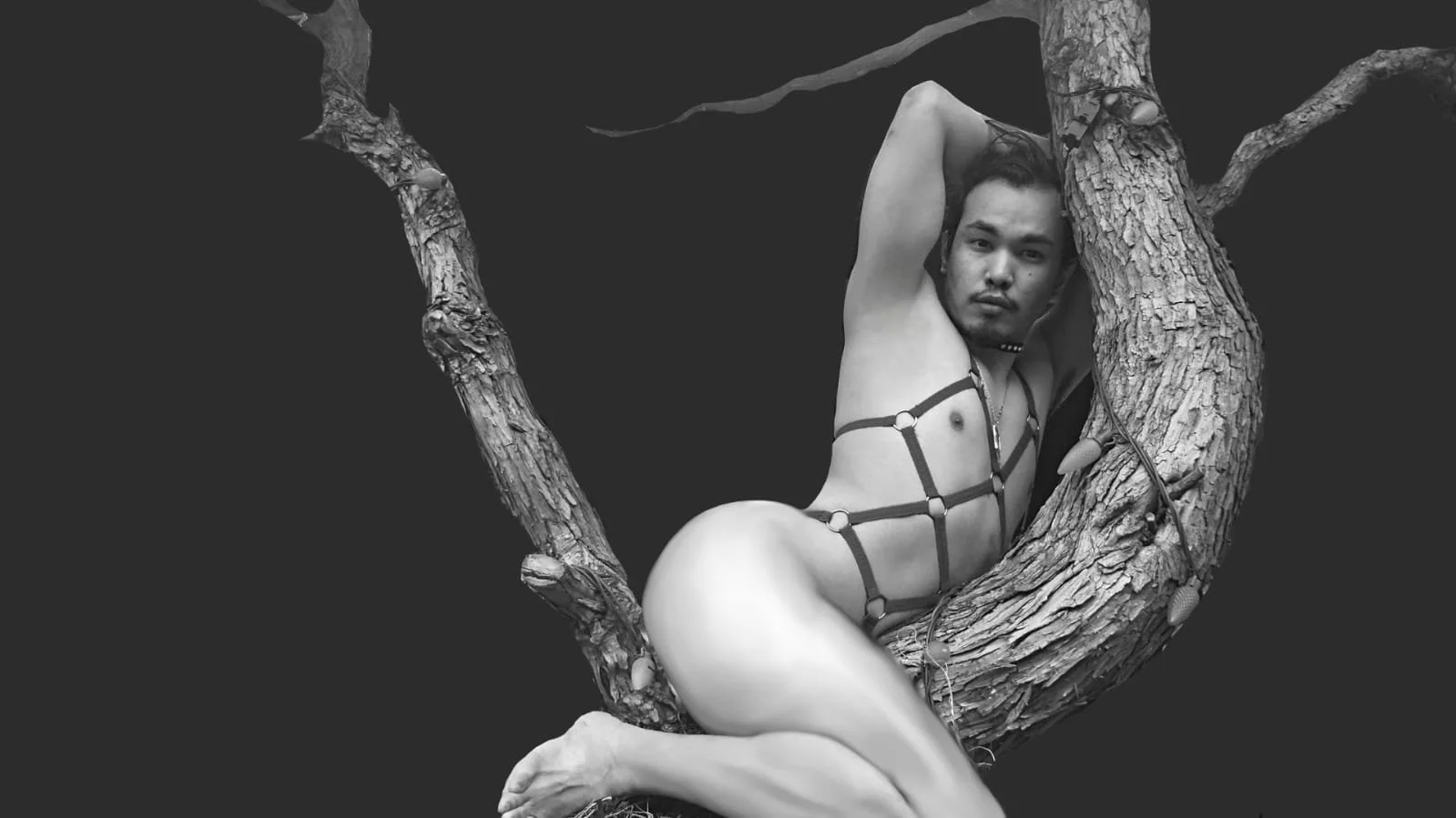 Superb (Super Symmetry Set Early Edition)