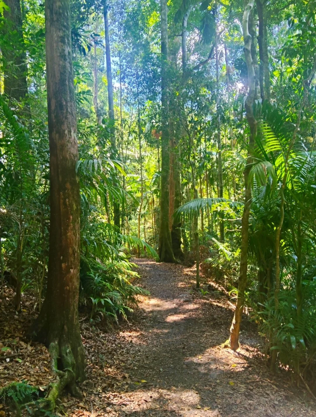 I feel so many of us have been swept up in the illusion that success should compromise our nervous system…