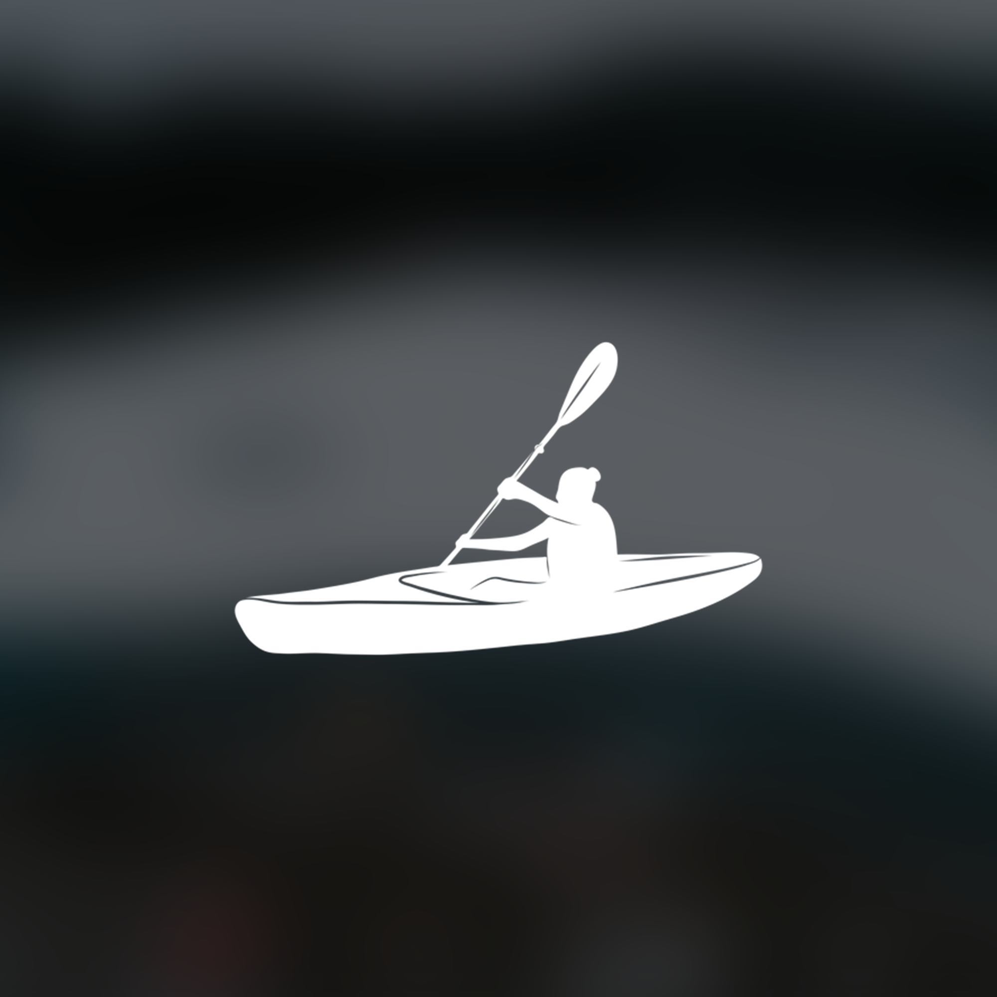 pp5.png